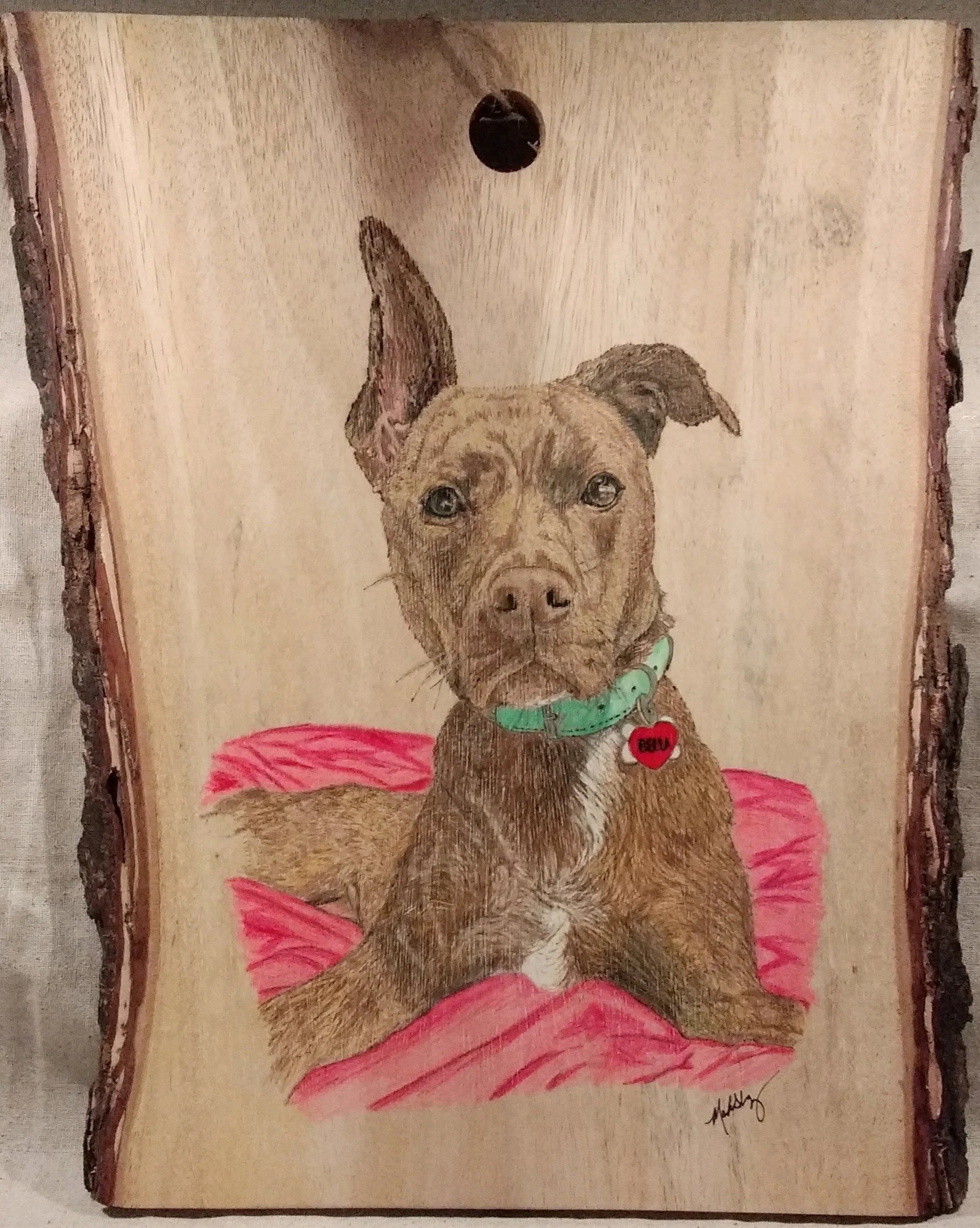 🔴 Sold:
Dog Portrait pyrography on live-edge wood by Art Illusions by Young. Heartfelt woodburn portrait of a beloved dog with alert ears and gentle expression, framed by the natural live edge of the wood slice and accented with soft pink and red to