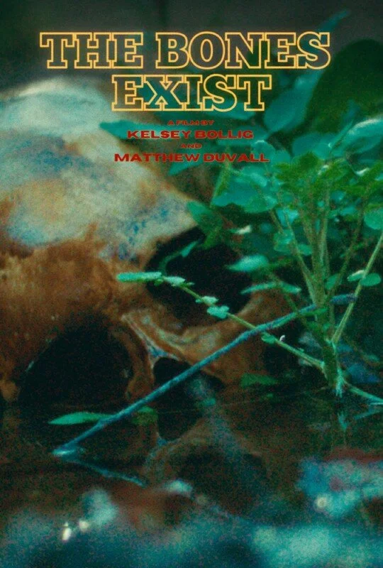 17538c3ee1-poster.jpg