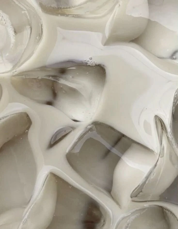 ˚ ༘ ೀ⋆｡˚.jpeg