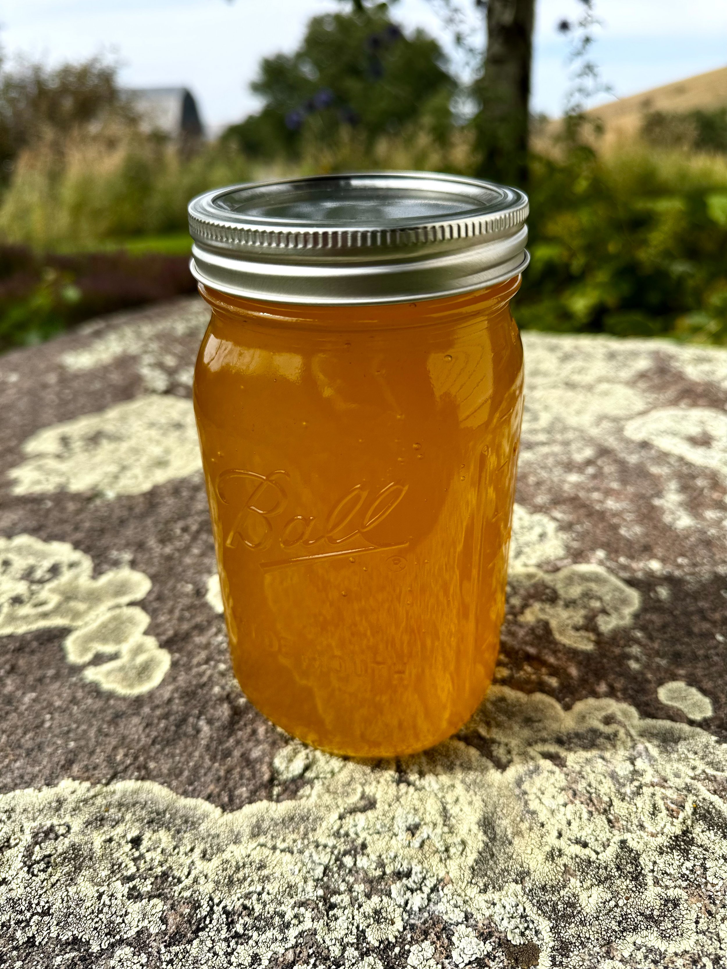 2025-09-10 14.06.21.jpg