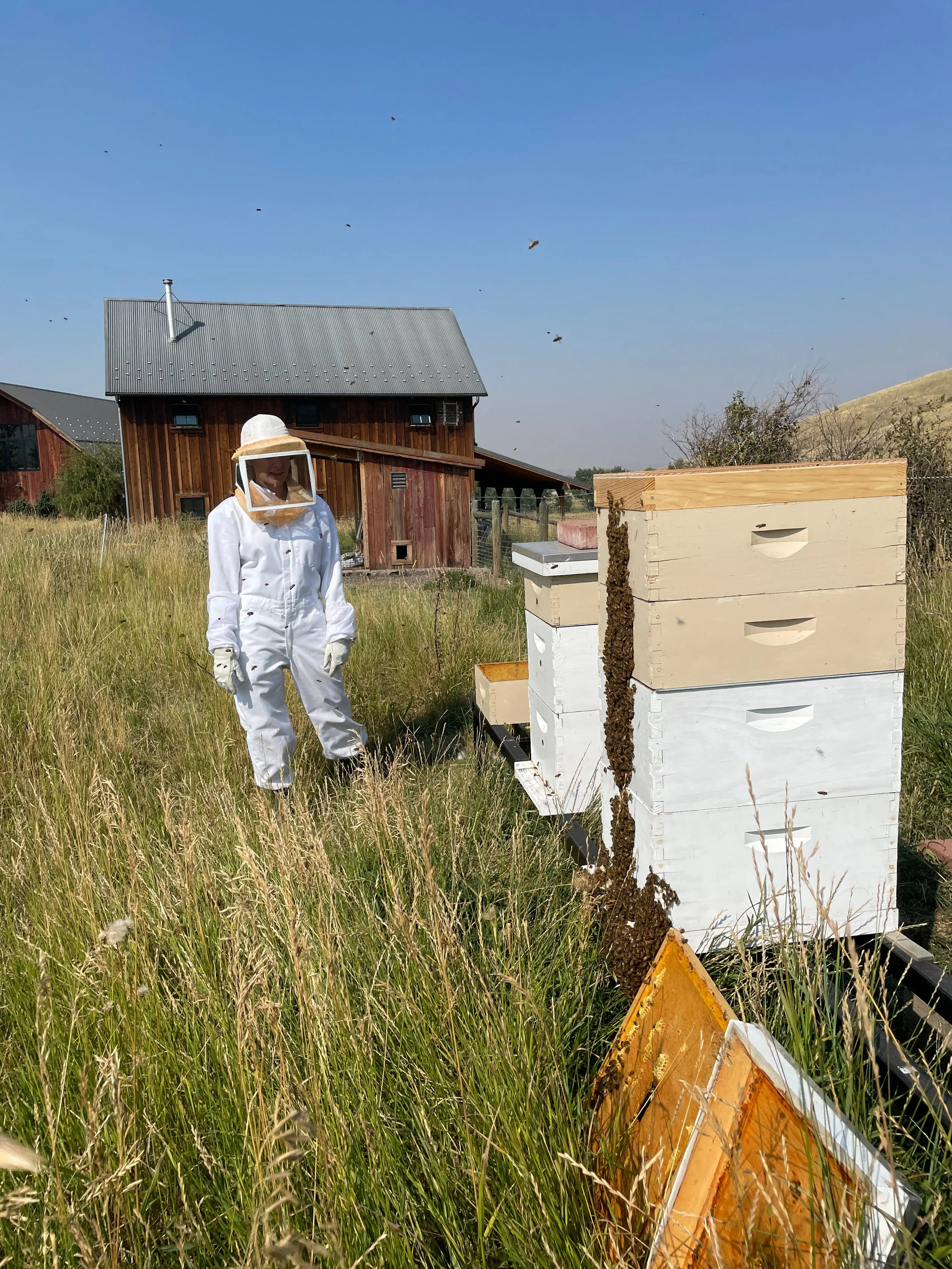 2022-09-05 11.20.07.jpg