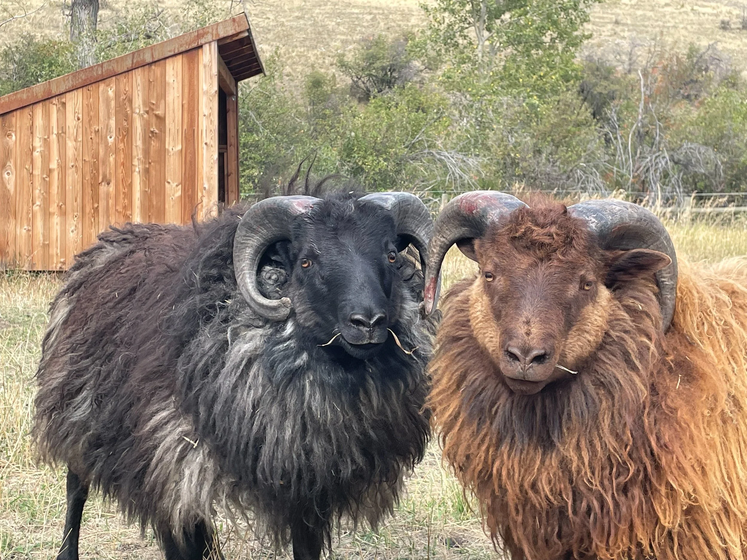 2021-09-10 15.33.58.jpg