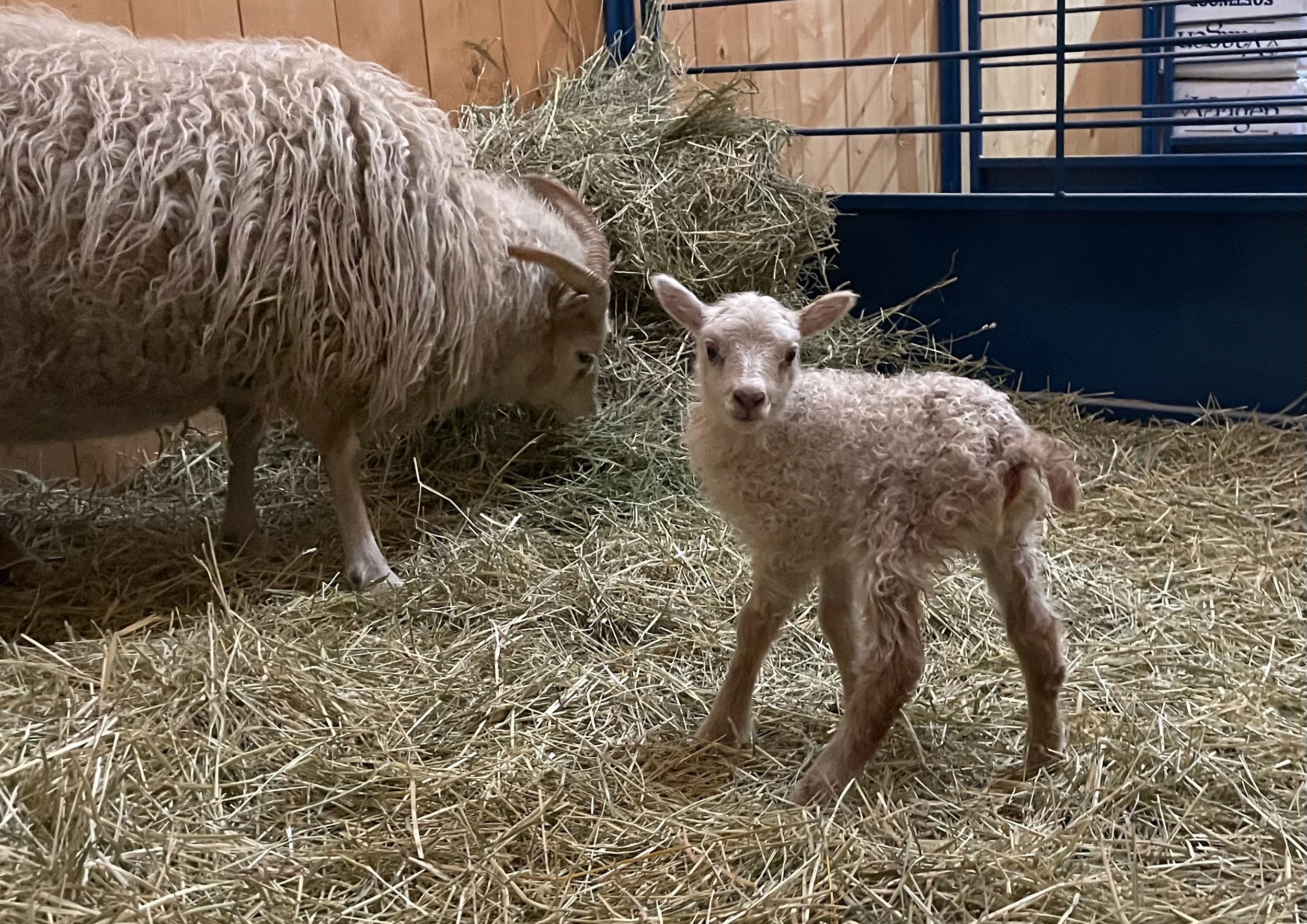 2021-04-10 22.09.46.jpg