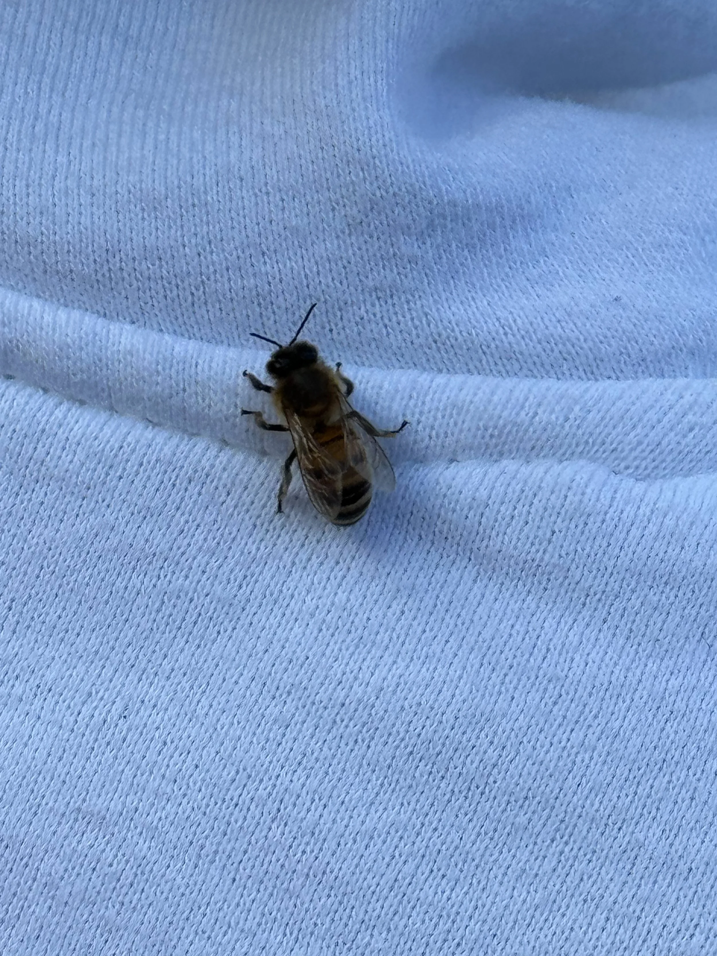 2024-03-14 17.27.57.jpg