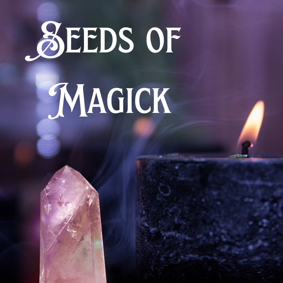 Seeds of Magick blog post.png