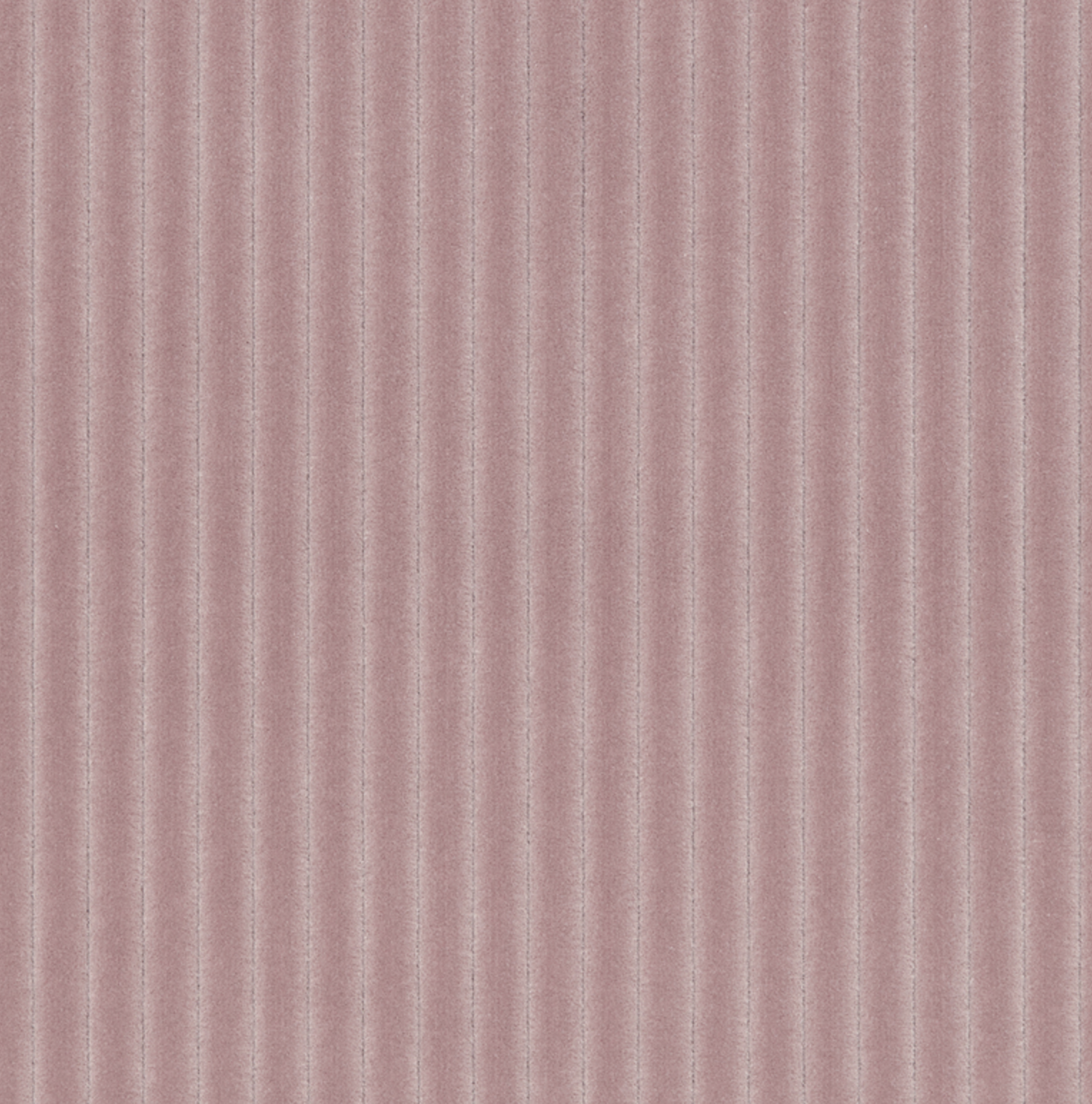 Screenshot 2026-03-02 at 11.28.56 AM.png