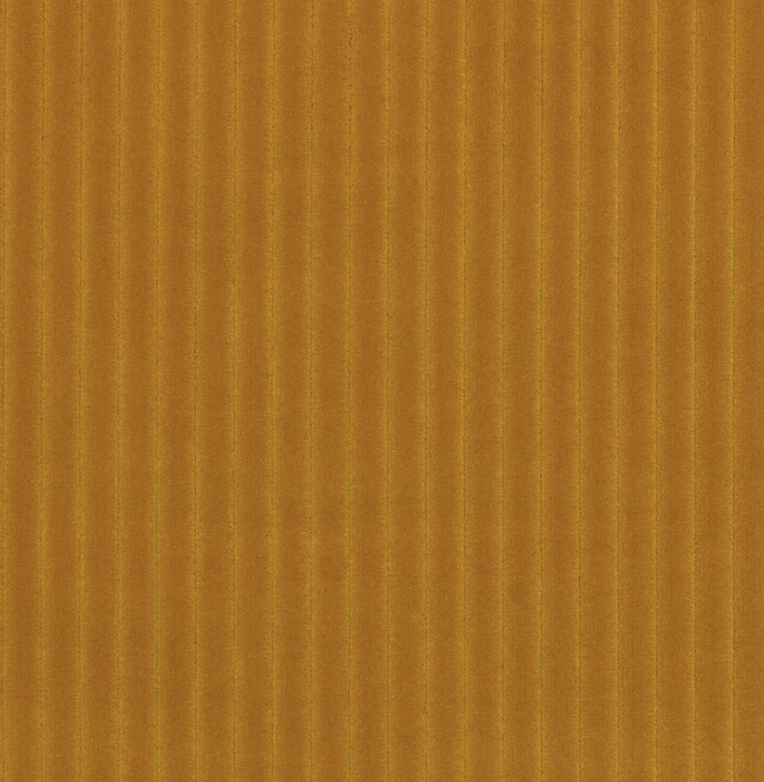 Screenshot 2026-03-02 at 11.29.11 AM.png