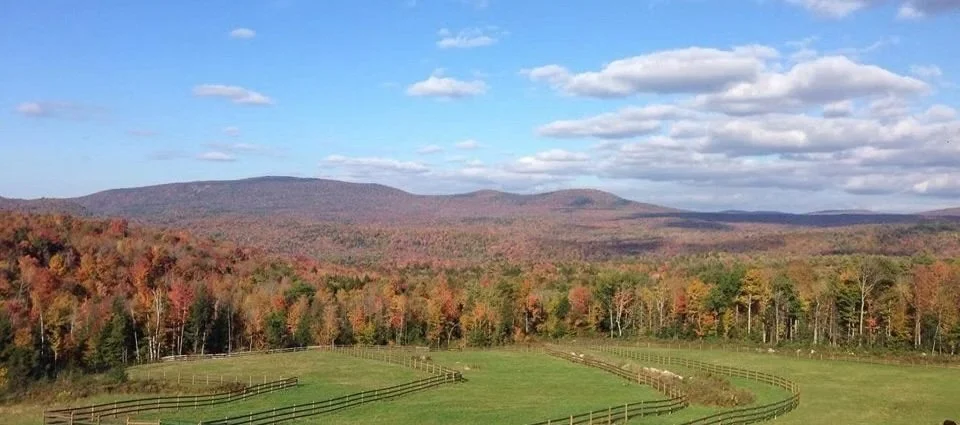 8T Acres to Host Shod With Love Once Again