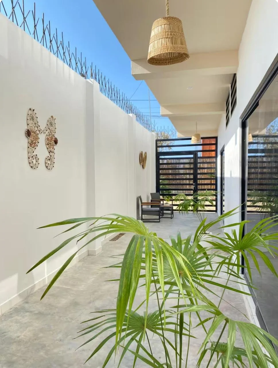 WhatsApp Image 2026-02-22 at 15.54.57.jpeg