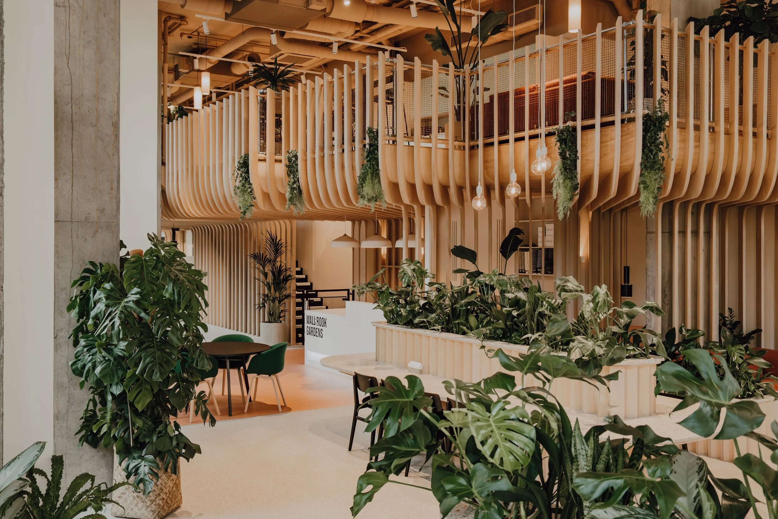 Indoor space with green plants, tables, and chairs, featuring wooden decor dividers and hanging light bulbs, with a sign that reads 'Wallbrook Gardens'.