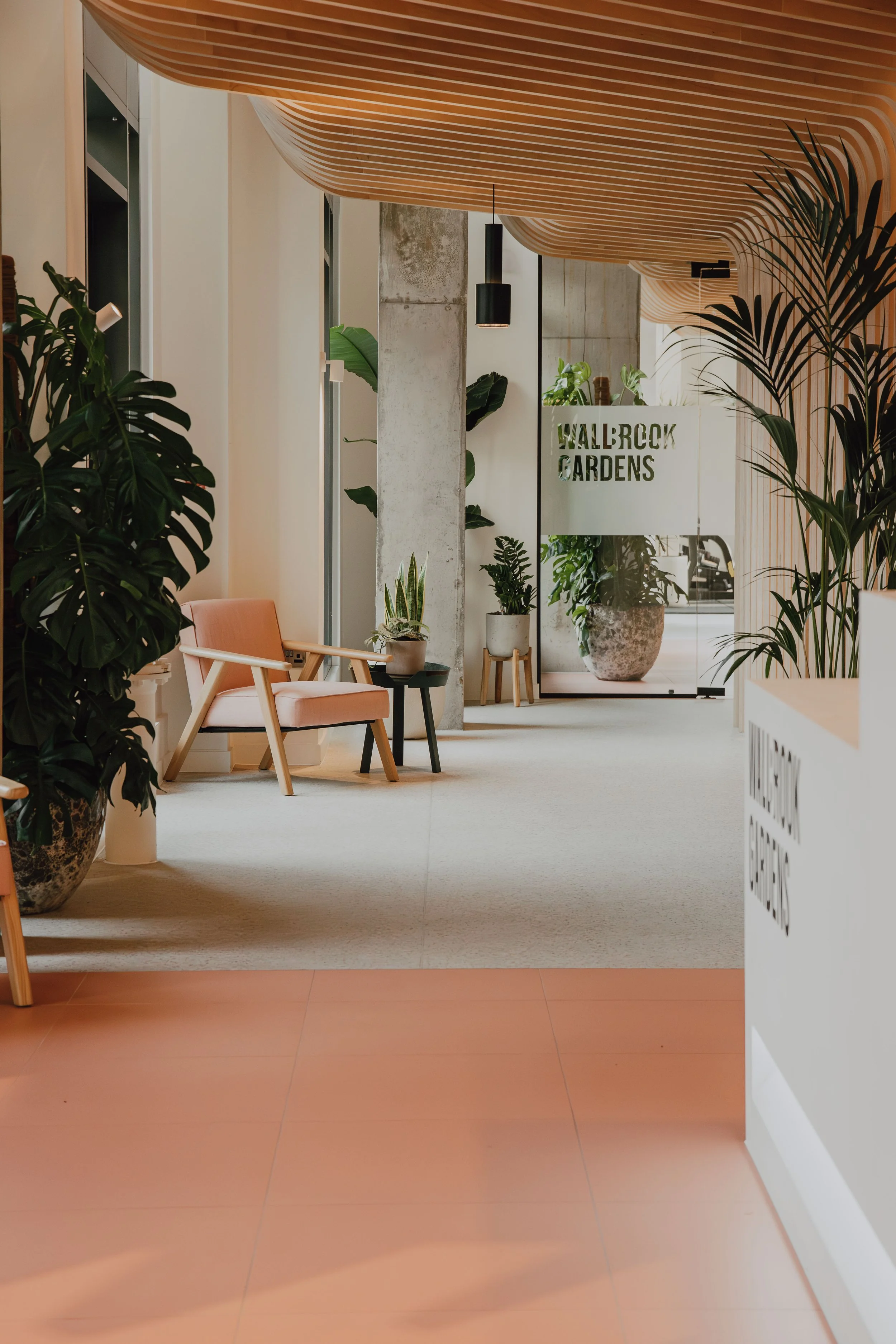 Indoor space with beige flooring, indoor plants, wooden ceiling, peach-colored chair, small black table, white divider with cut-out pattern, and a glass door with a sign that reads 'Walbrook Gardens'.