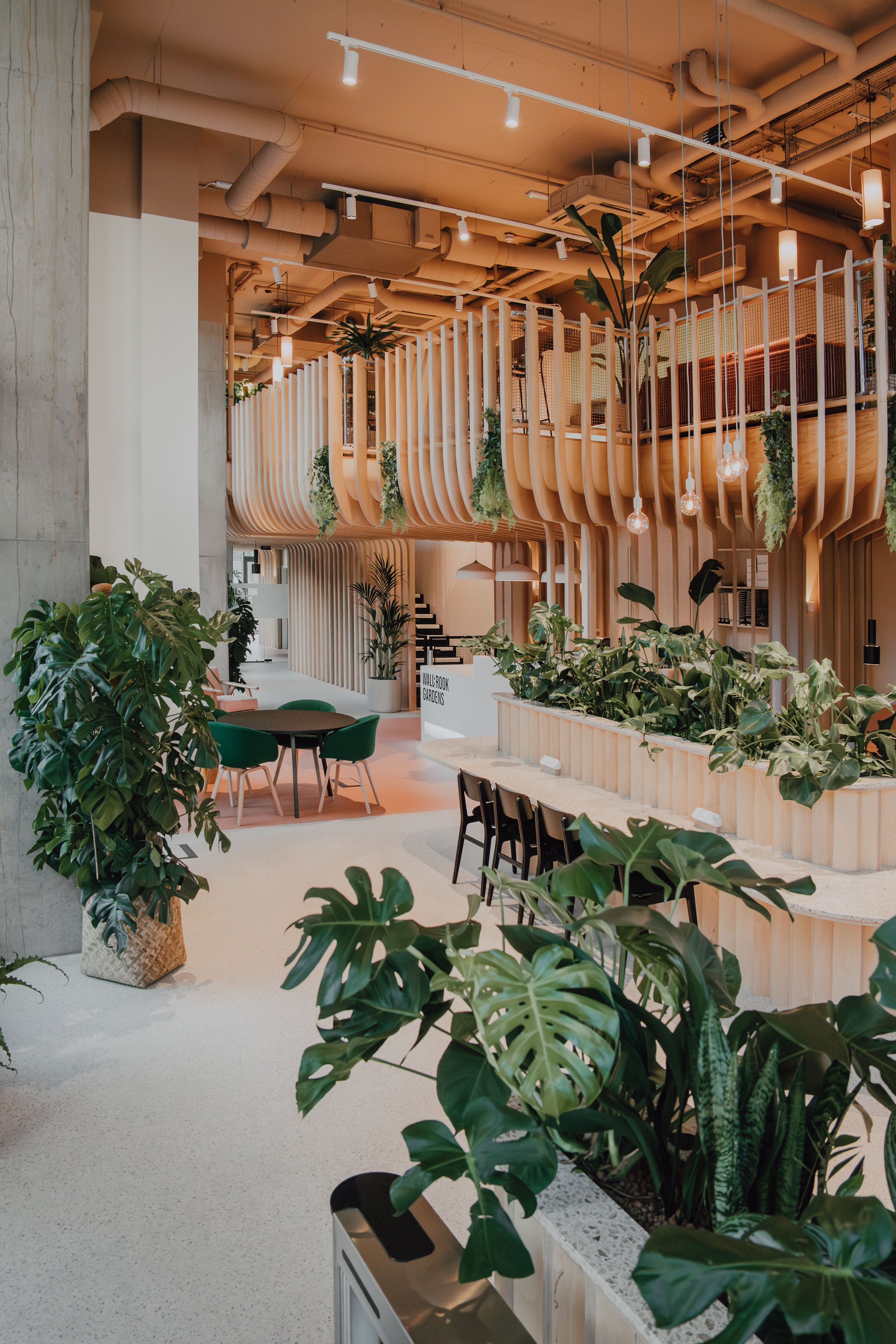 Interior of a modern space with abundant greenery, wooden accents, and unique curvy wooden partitions. Features include ateic lighting, potted plants, and a sitting area with chairs and tables.