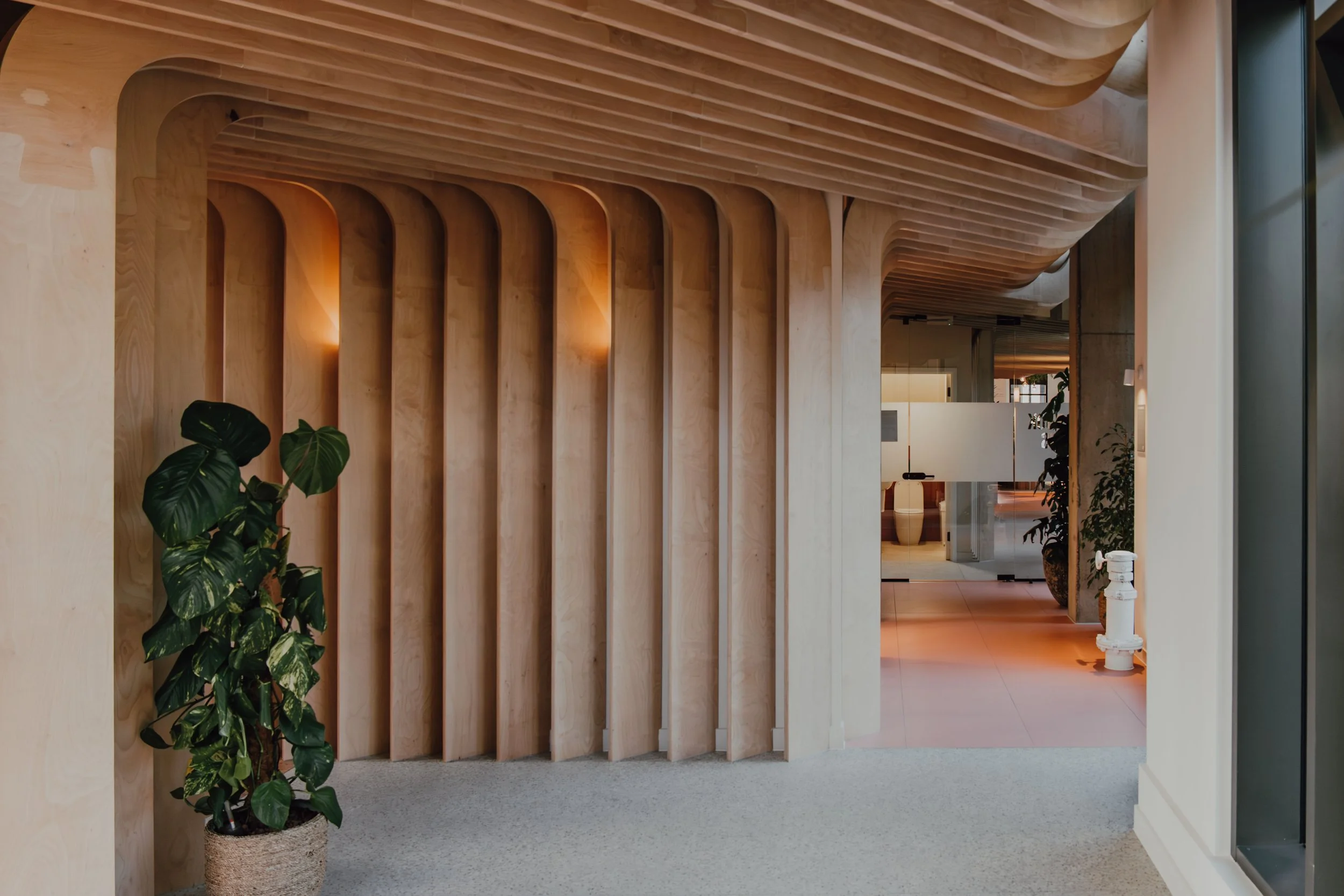 Interior of a modern building with wooden decorative panels and a potted plant