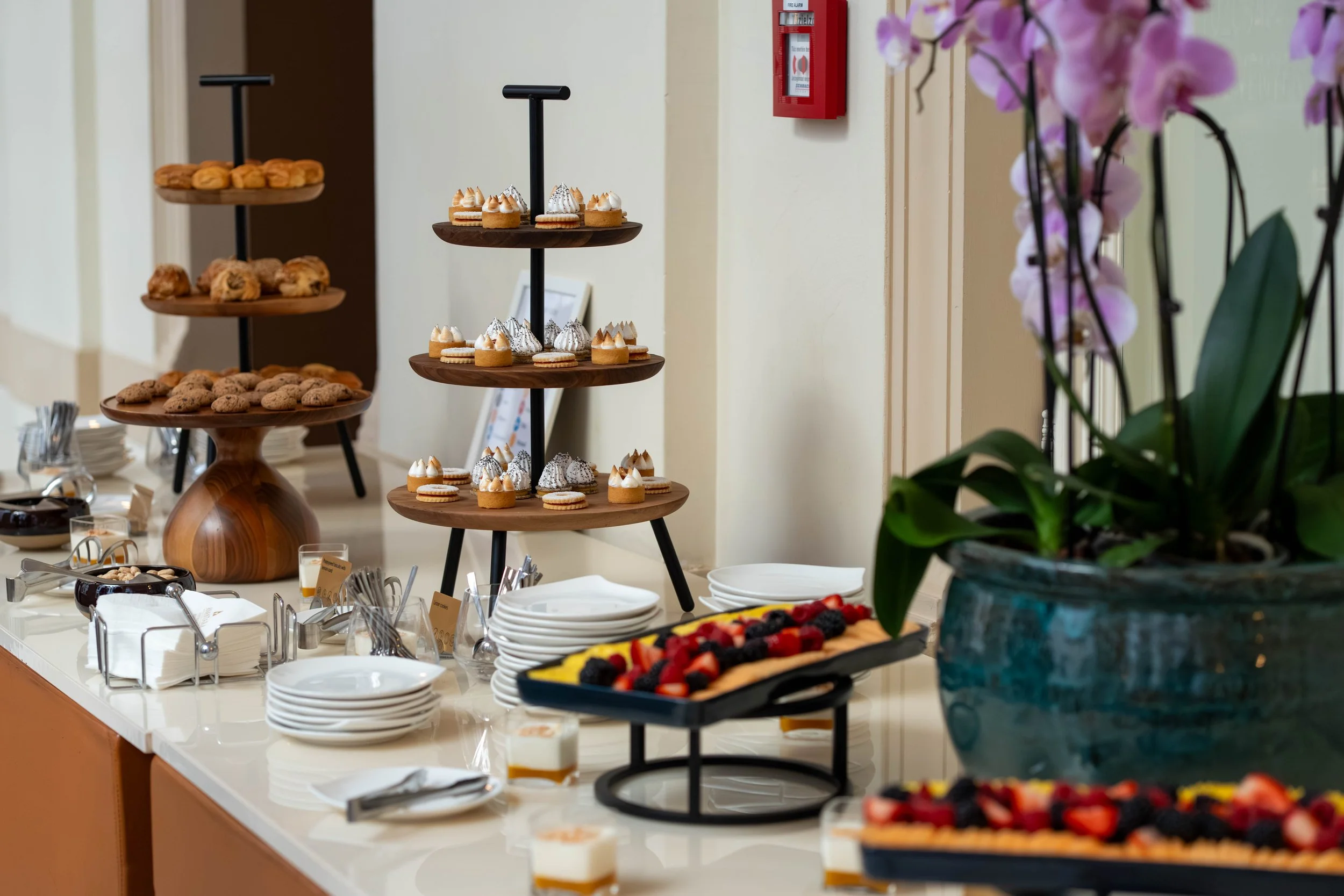 A buffet table with multiple tiers of desserts, including cookies, cupcakes with white frosting, and other pastries, with plates and bowls of berries in the foreground. An orchid plant is visible on the right side of the image.