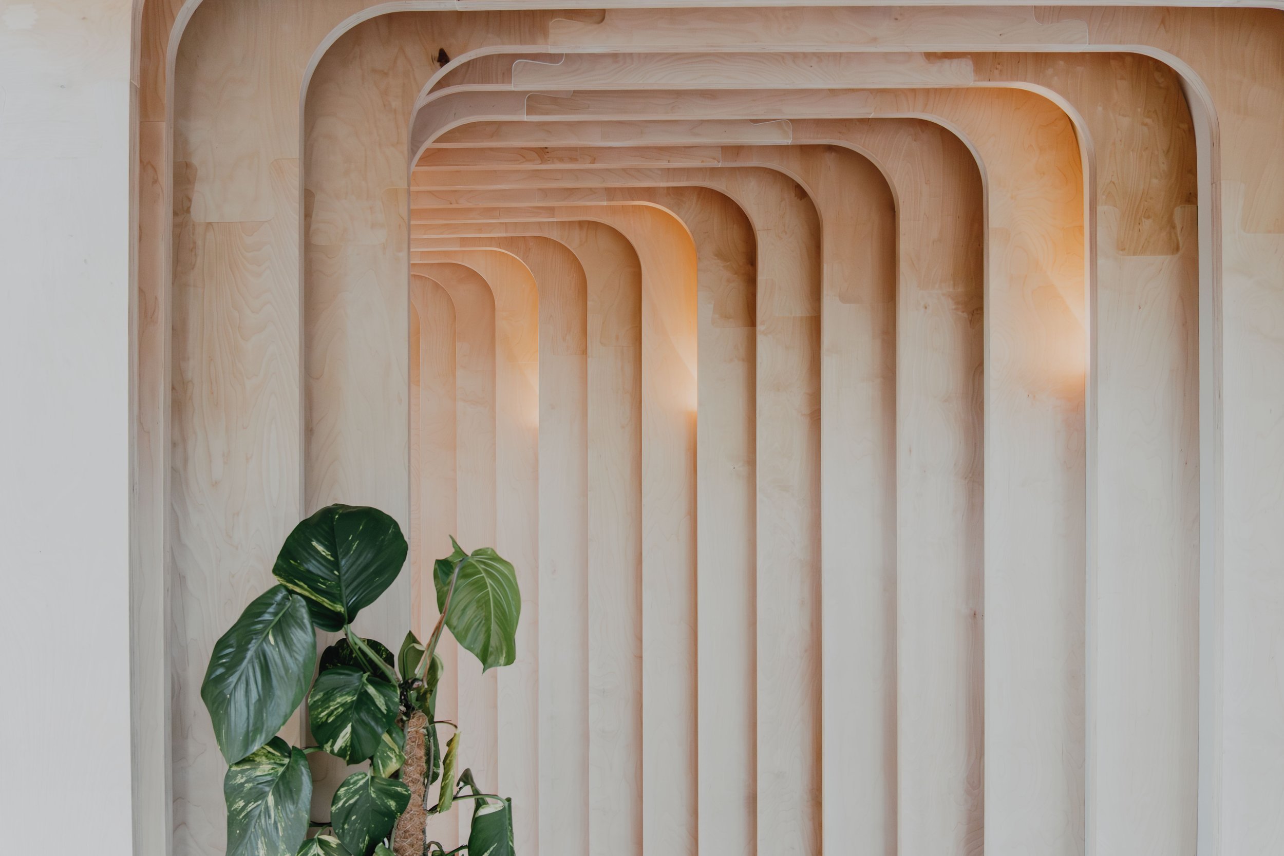 Wooden wall installation with arch shapes, accompanied by green potted plant with broad leaves at the bottom