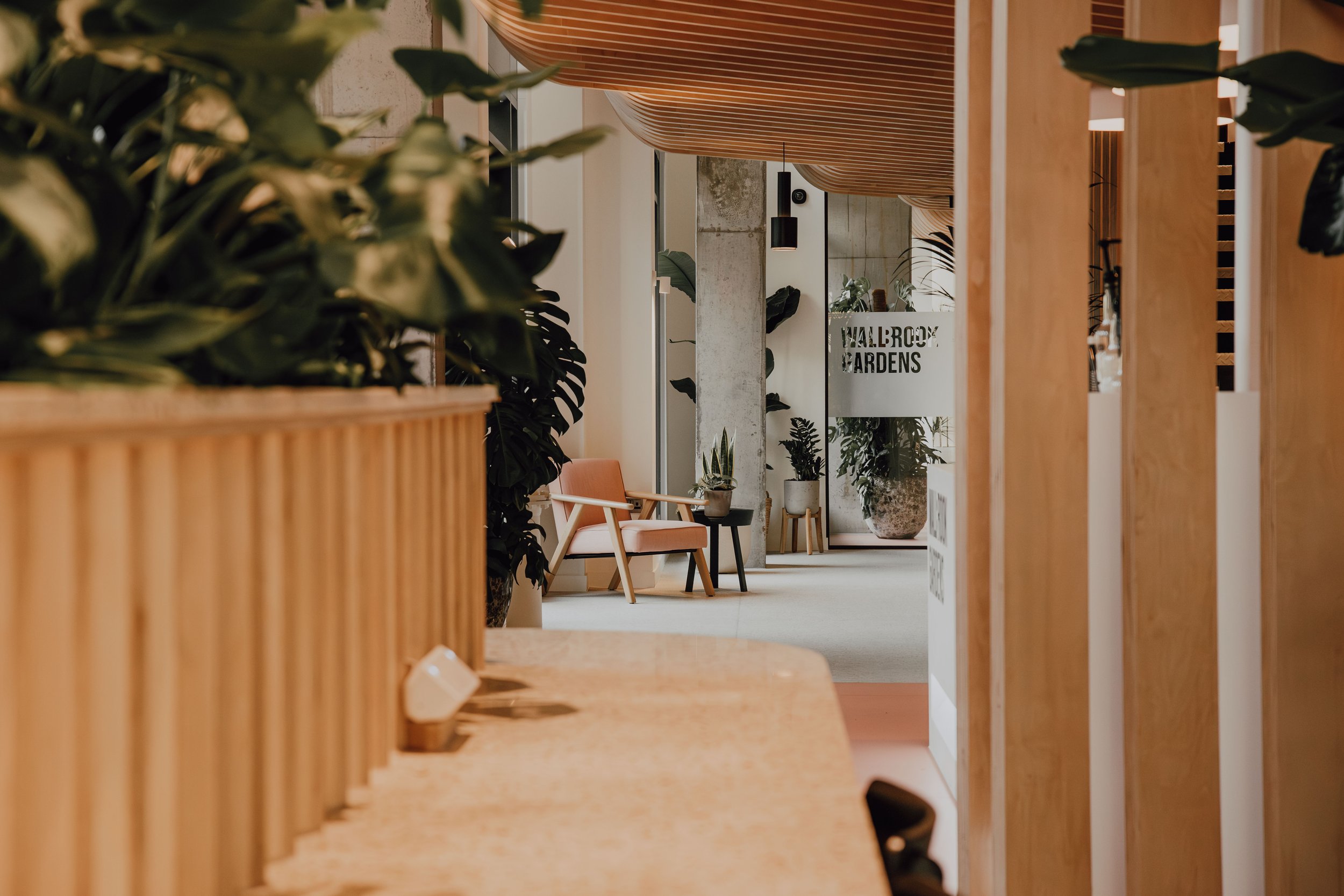 Interior view of a modern space with wooden paneling and lush green plants, sign reading 'Wallbox Gardens' visible in the background.