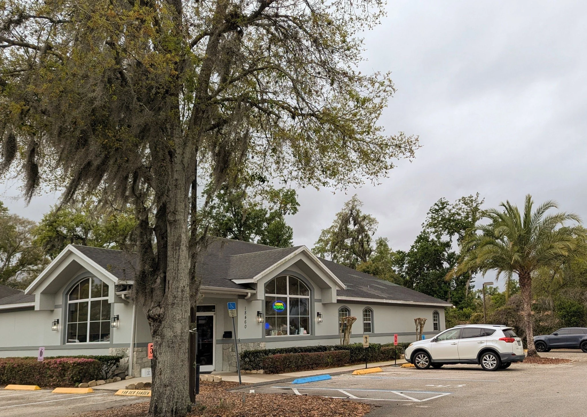 2026-3-12 - Palmetto Vet.jpg