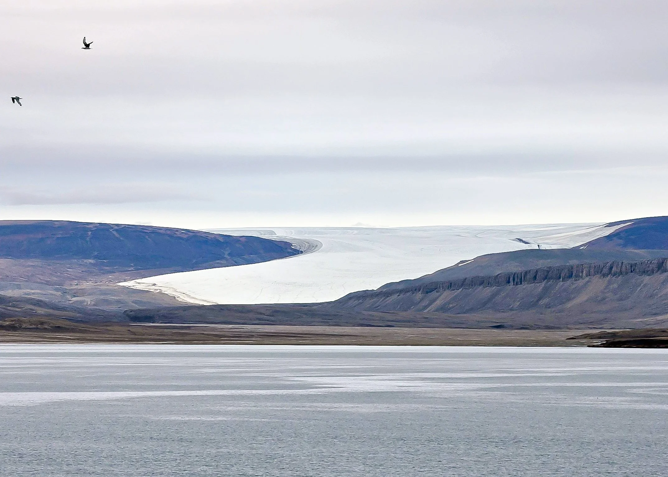 2026-8-27 - Dundas Harbor - Tidewater Glacier at Croker Bay 1.jpg