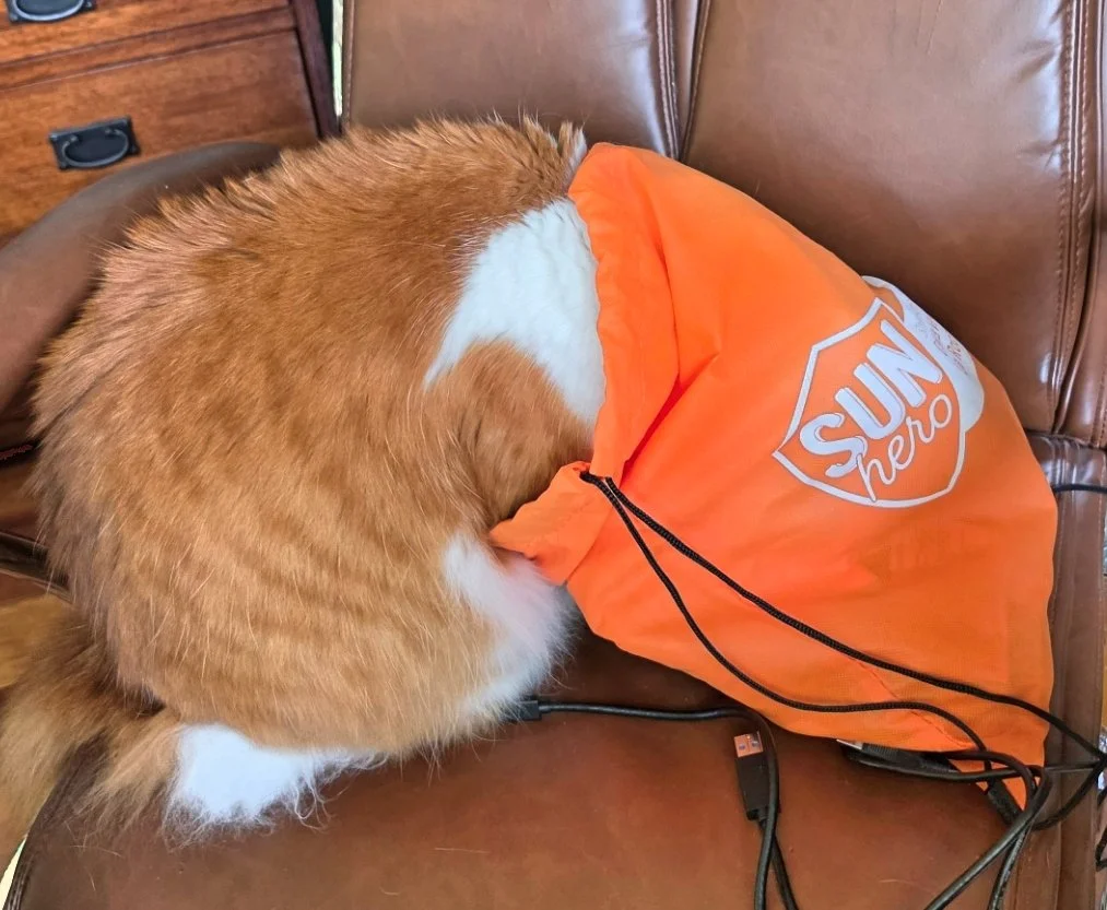 2026-7-9 - Mischief in the bag.jpg
