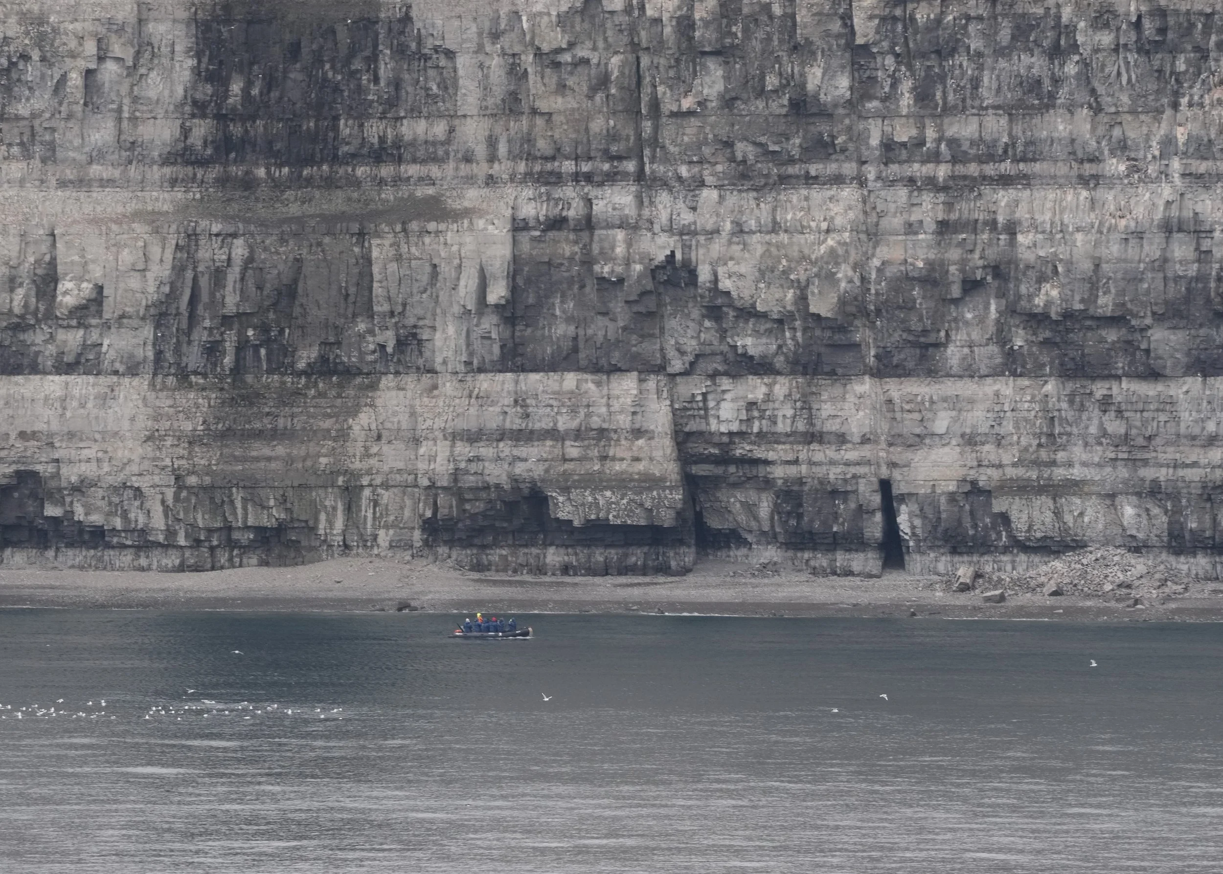 2026-8-25 - Prince Leopold Island - cliffs 1 - small.jpg