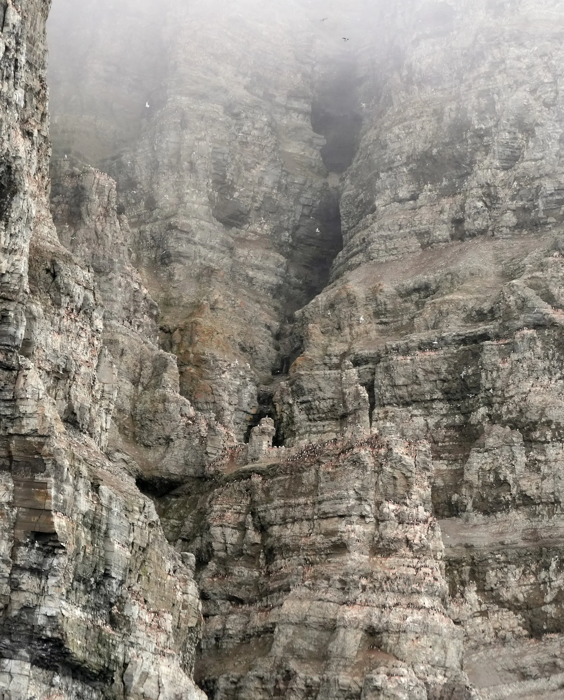 2026-8-25 - Prince Leopold Island - cliffs 4 - small.jpg
