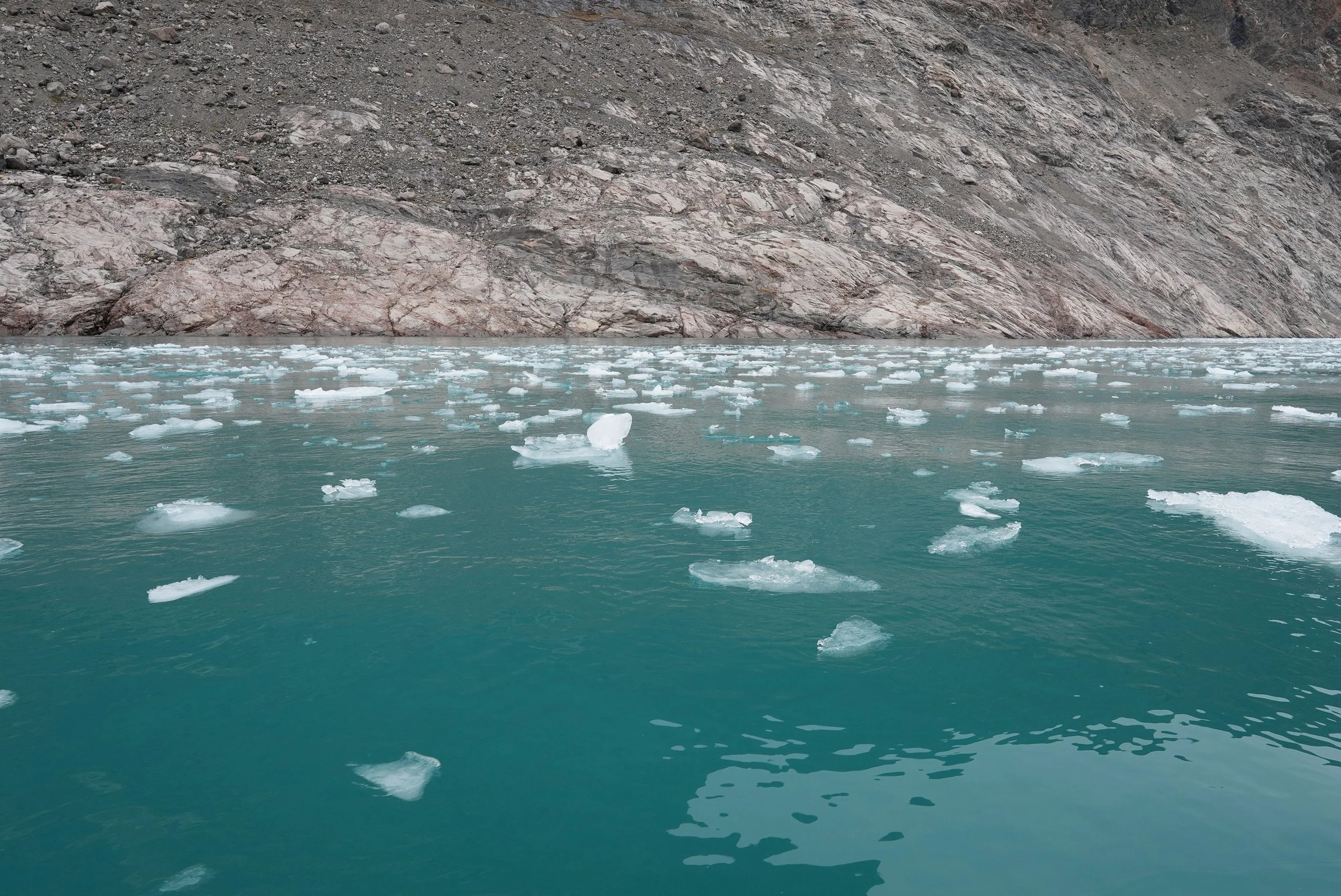 2026-9-2 - Evighedfjord - ice from the glacier 2e@0.5x.jpg