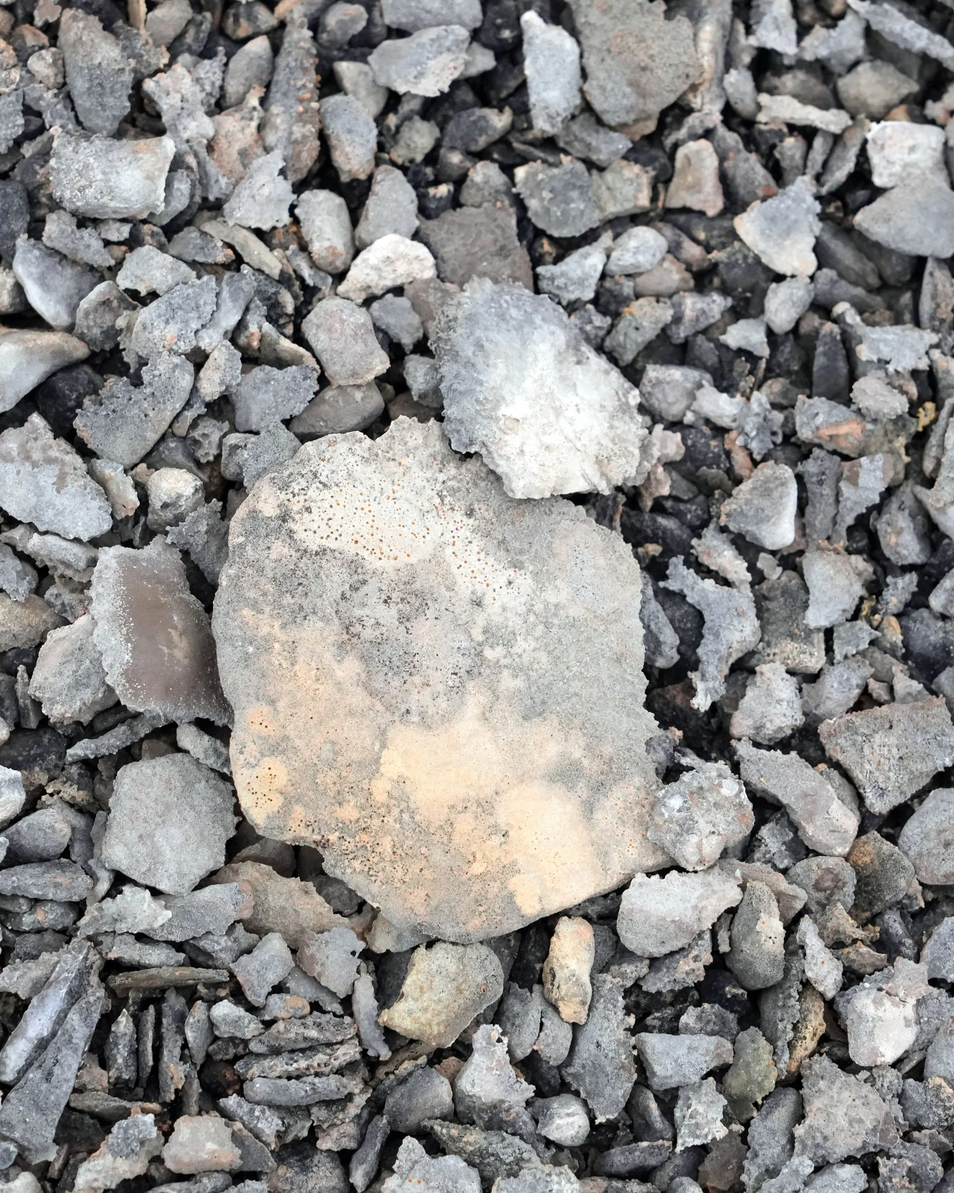 2026-8-26 - Beechey Island - Rock 1 - small.jpg