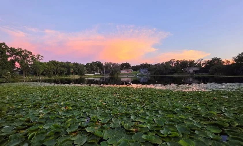 2026-6-22 - Sunset over my lake.jpg