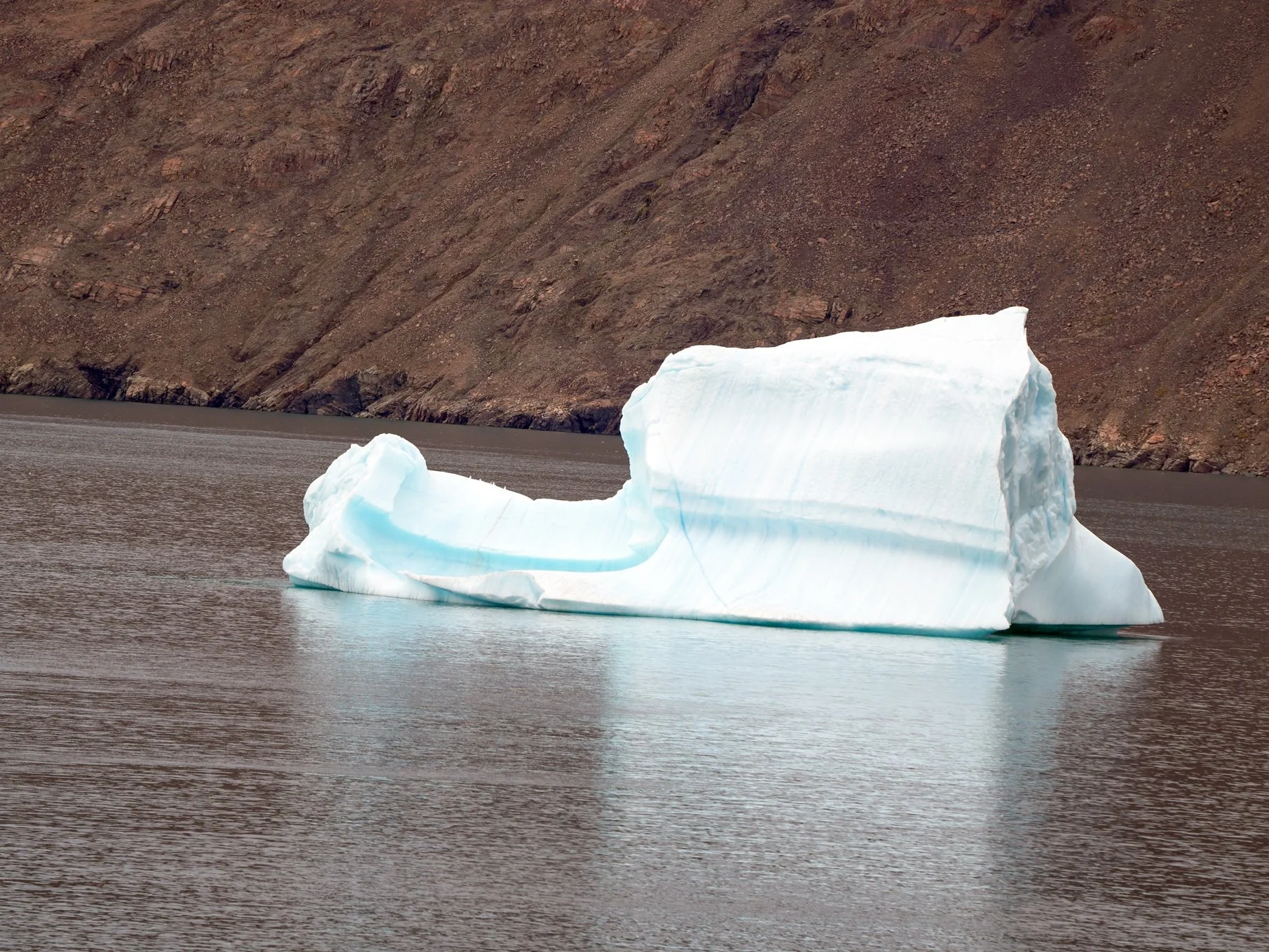 2026-8-27 - Dundas Harbor - Gator head iceburg 1.jpg