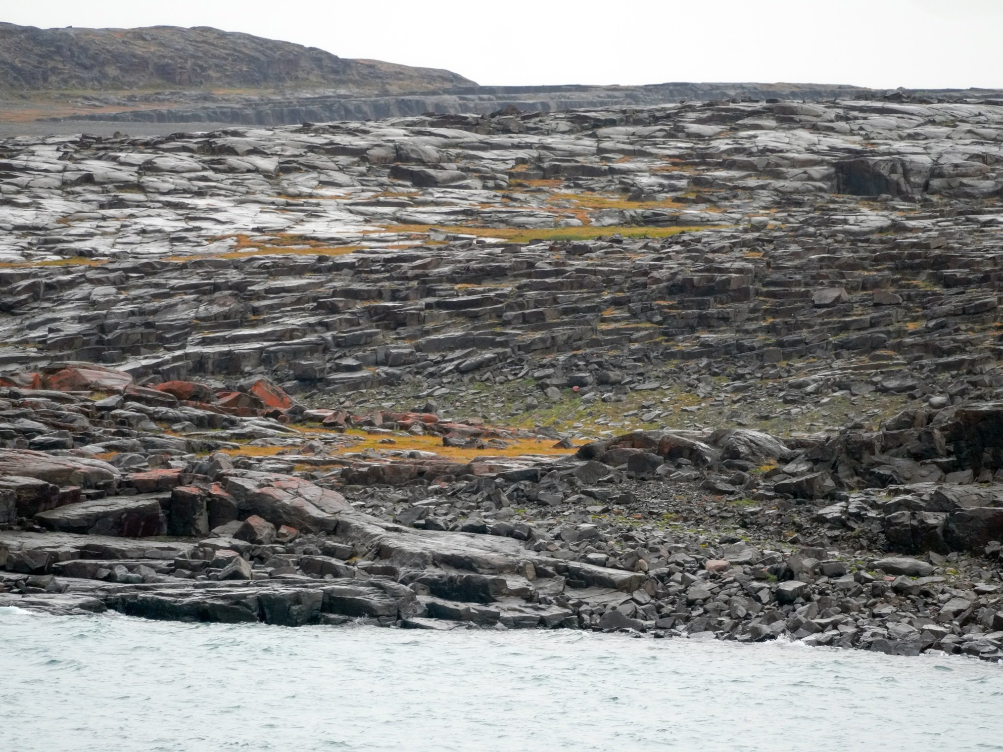 2026-8-19 - Murray Island 3 small.jpg