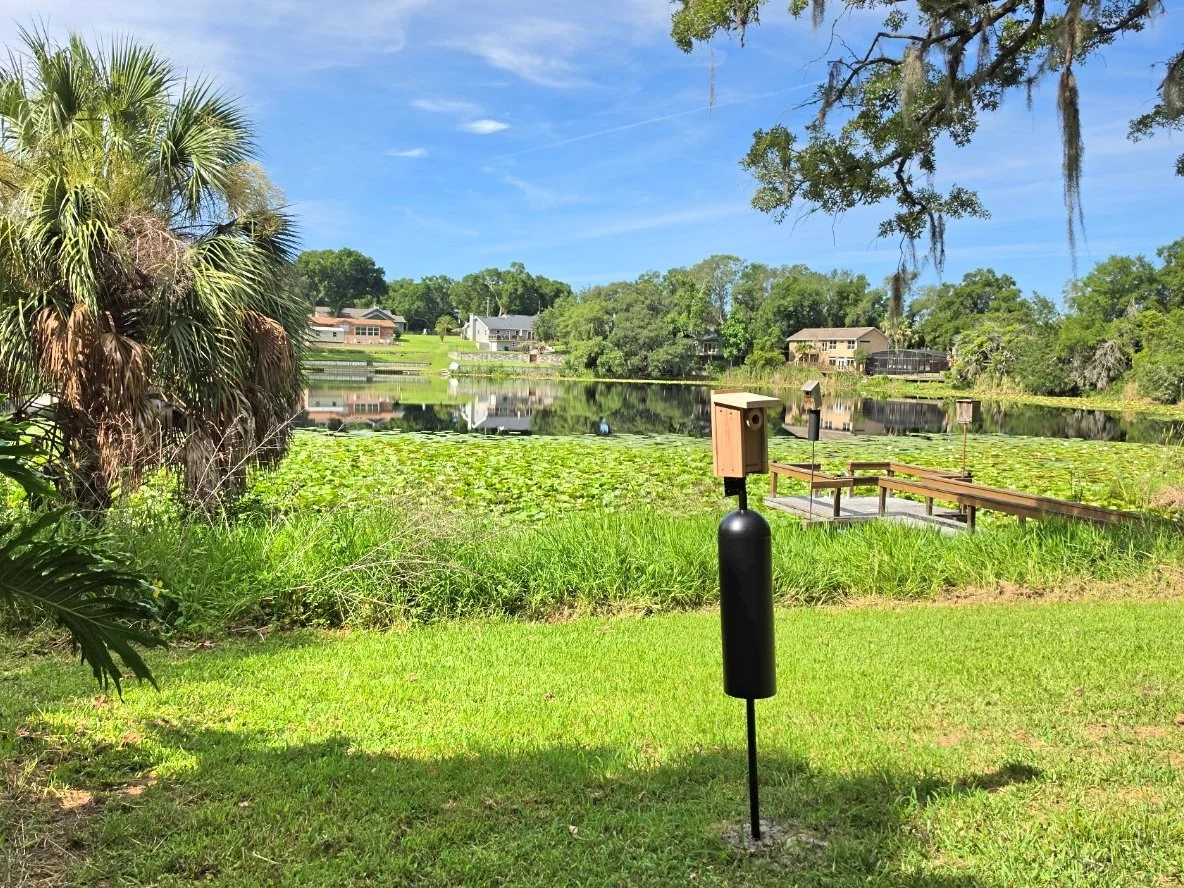2026-6-7 - Nest boxes.jpg