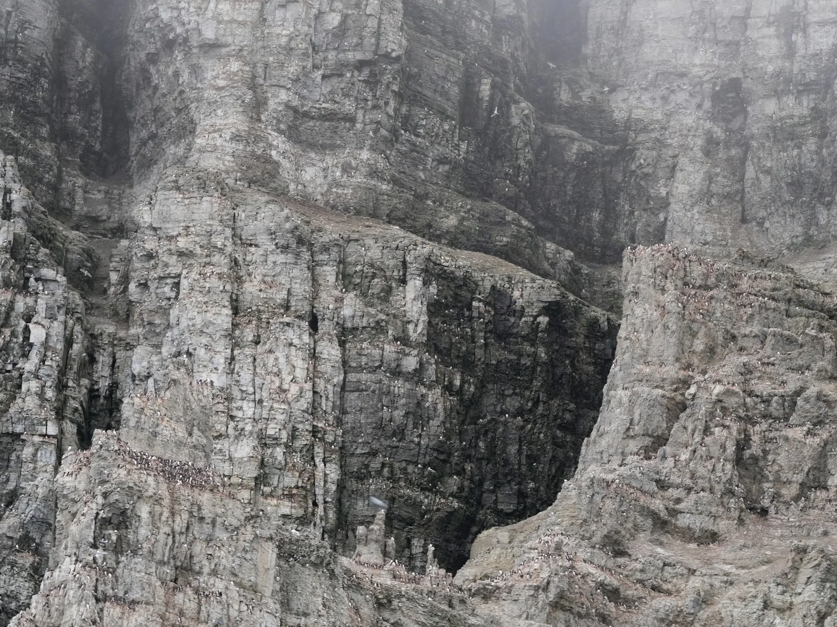2026-8-25 - Prince Leopold Island - cliffs 2 - small.jpg