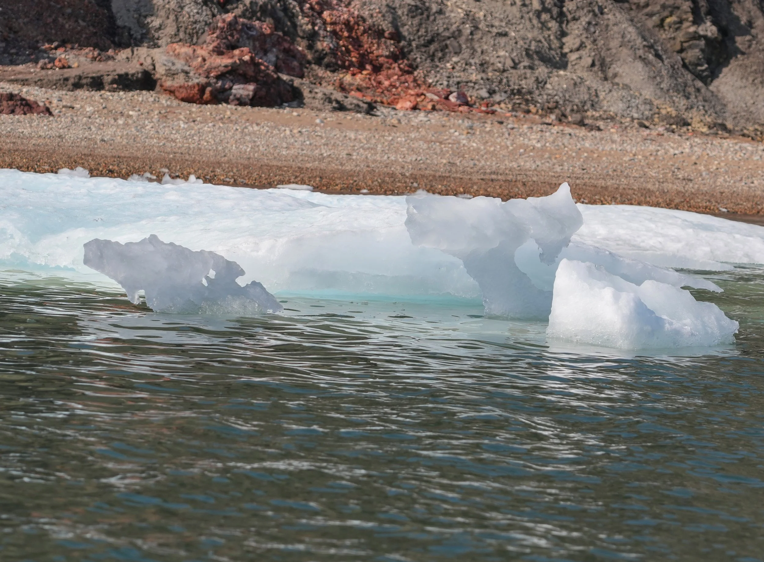 2026-8-17 - Smoking Hills - Ice Sculpture - Whale 1.JPG
