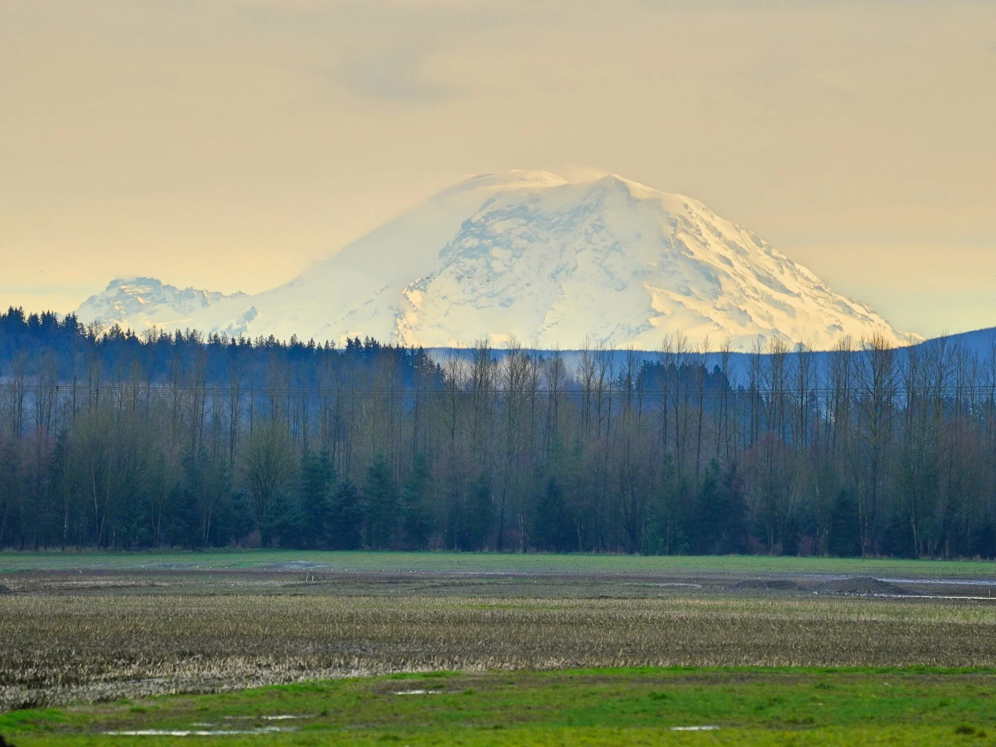 2026-3-17 - Mt Rainier.jpg