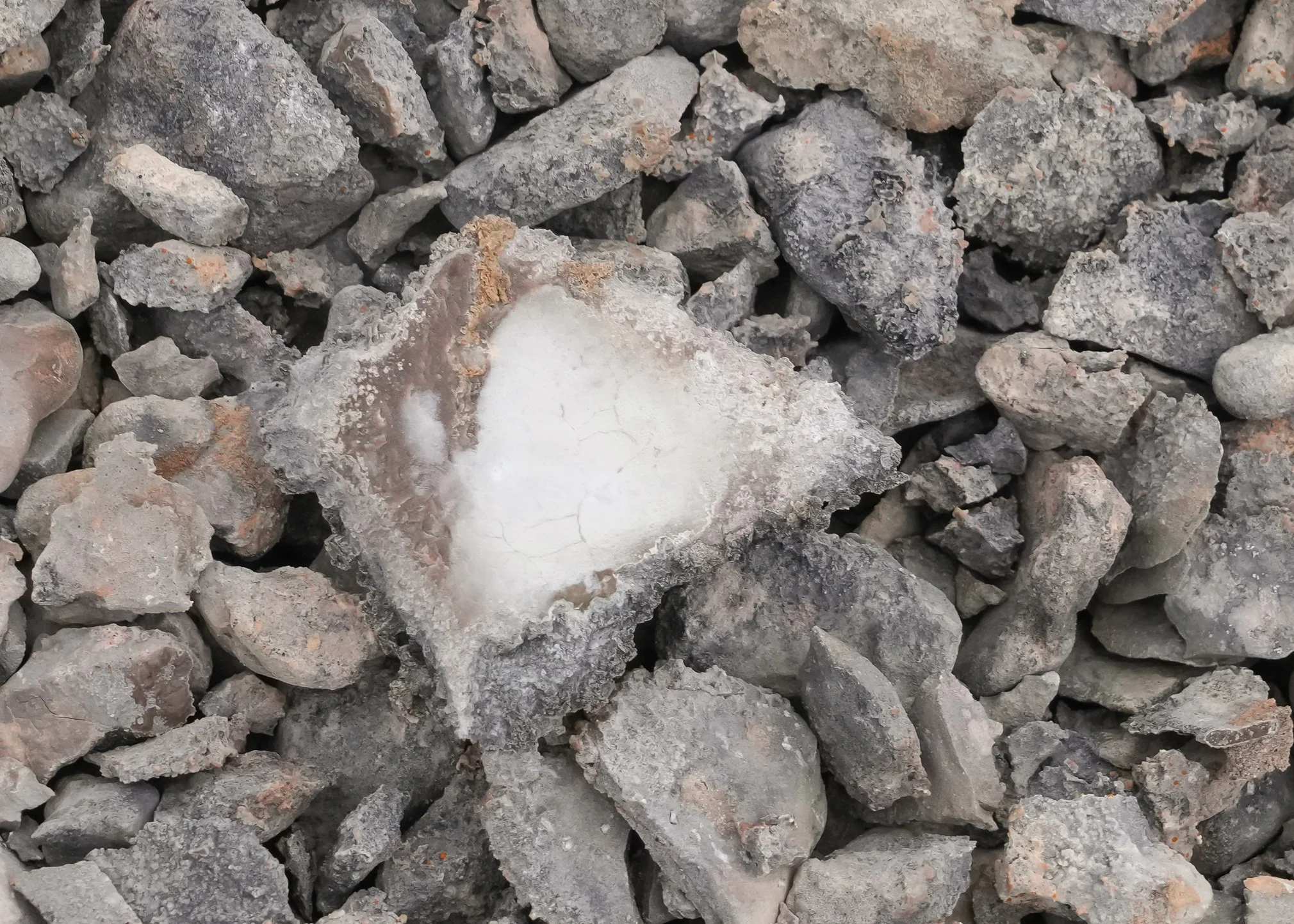 2026-8-26 - Beechey Island - Rock 2 - small.jpg