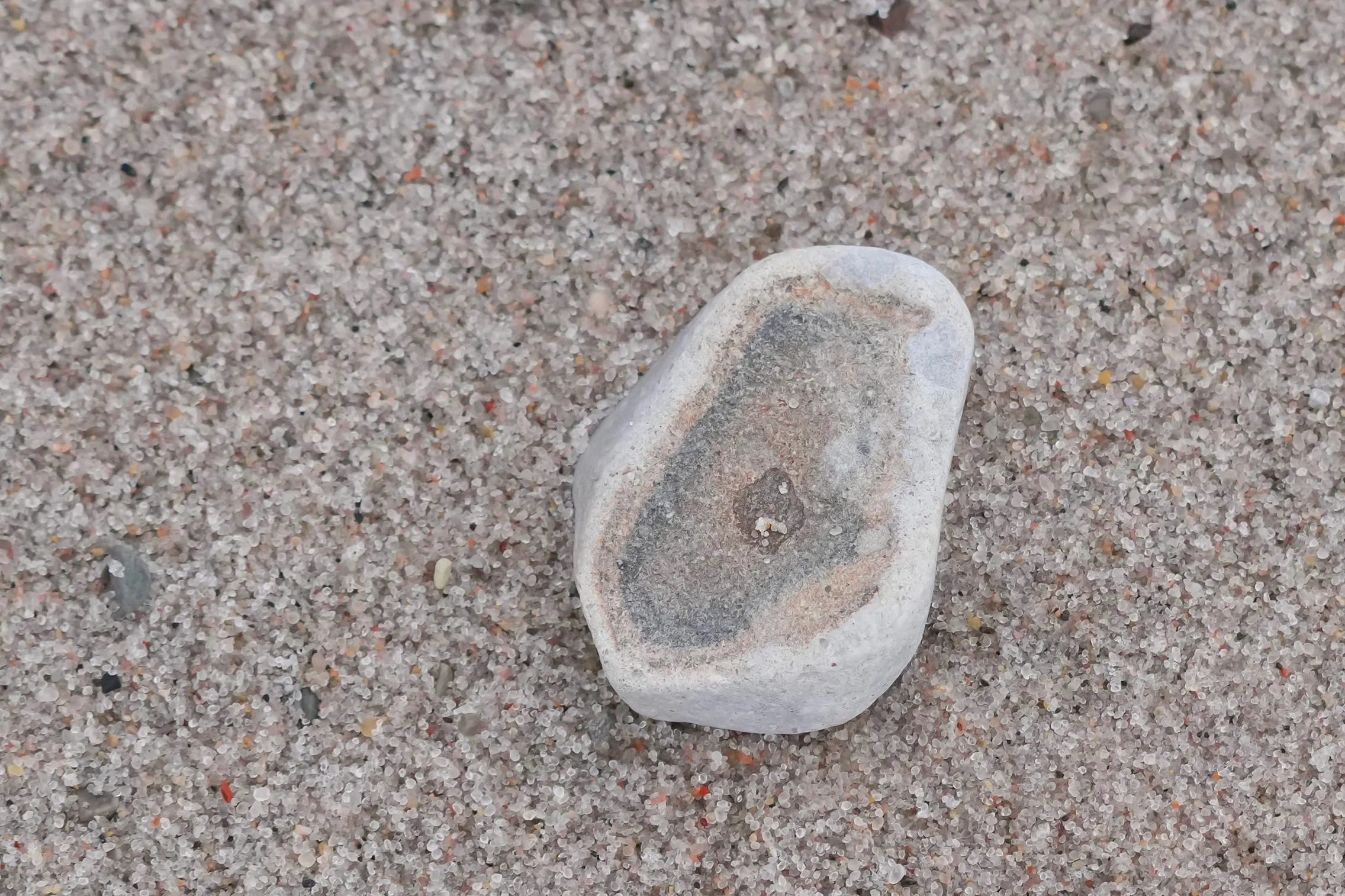 2026-8-21 - Jenny Lind Island - likely a marine fossil embedded in arctic limestone - small.jpg