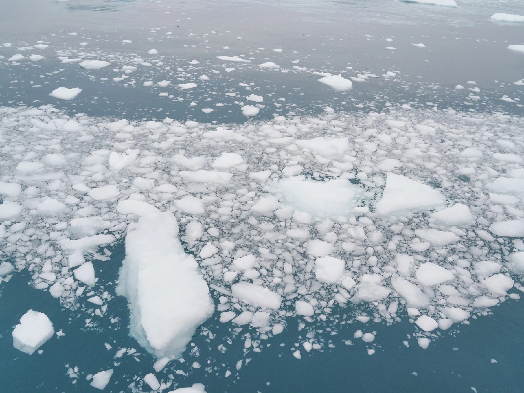 2026-8-31 - Ilulissat - ice bits 1.jpg