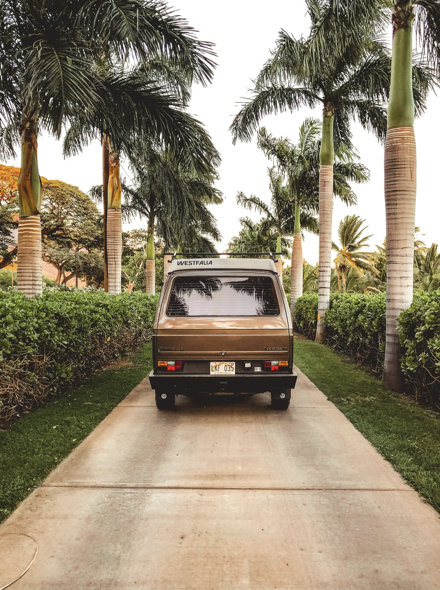 A tan vintage Volkswagen camper van parked on a concrete driveway, surrounded by lush green bushes and tall palm trees, with a clear sky in the background.