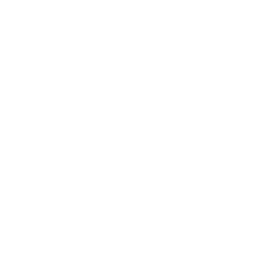 Silhouette of a palm tree in black and white.