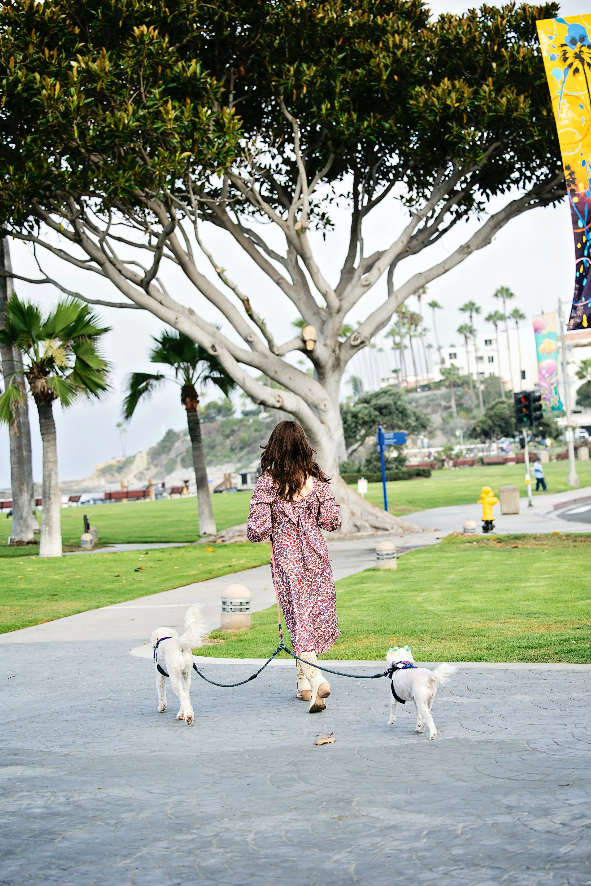 Lindsay DeLong, Editor-in-Chief of Laguna Beach Living in Laguna Beach.