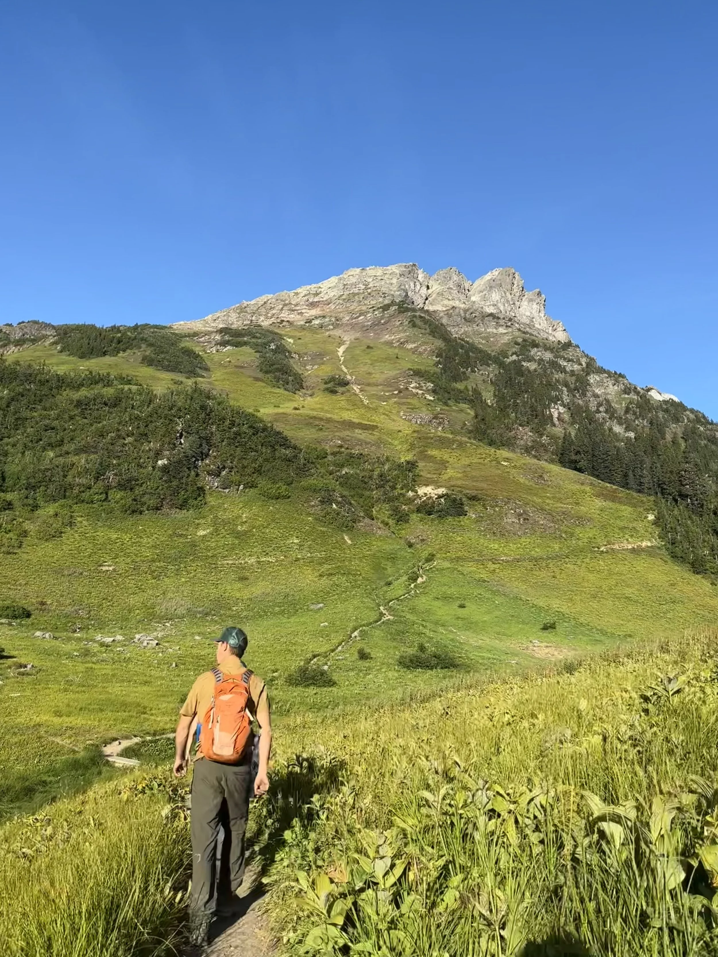 Design Elements - Reference Photo - Lady Peak, Chiliwack, B.C. - August 2023