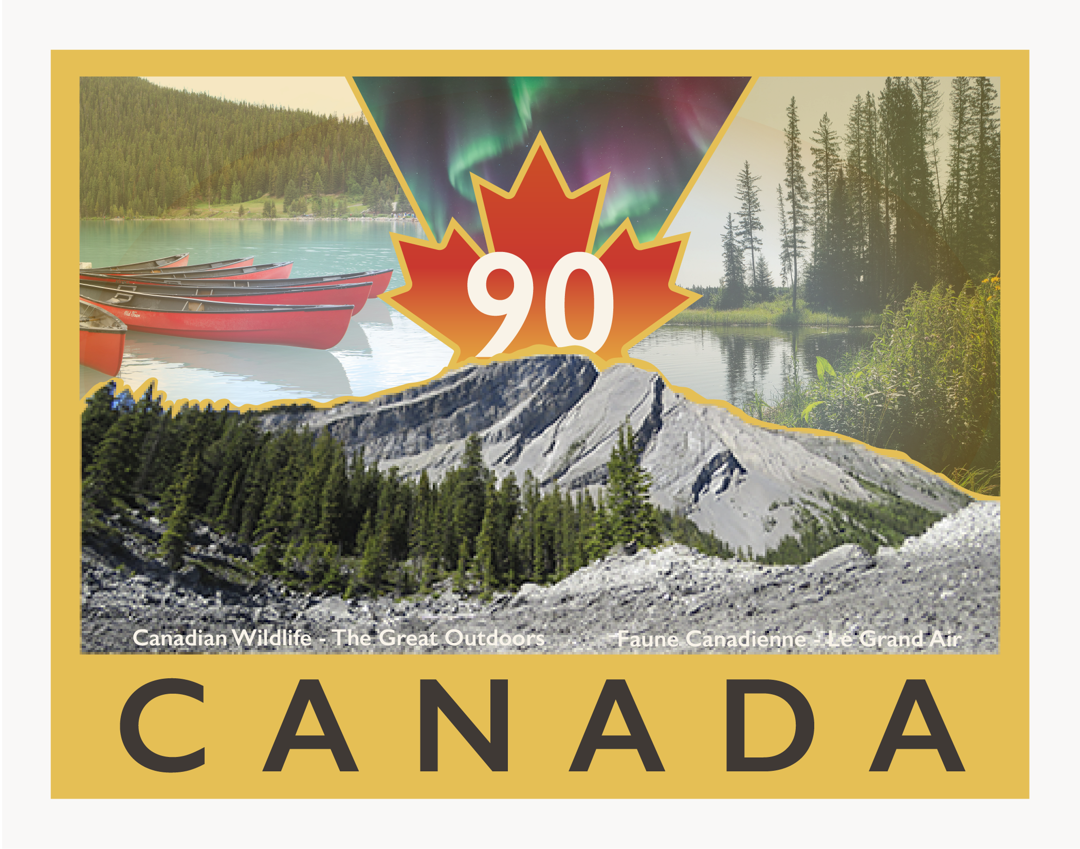 Digital - Iteration - Canadian Wildlife