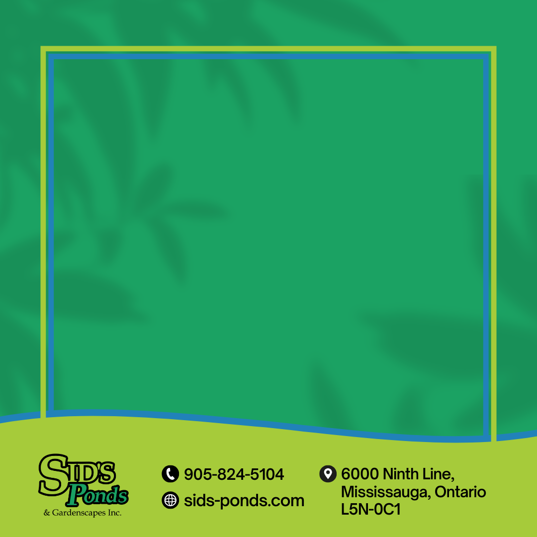 Social Media - Content - Post Template