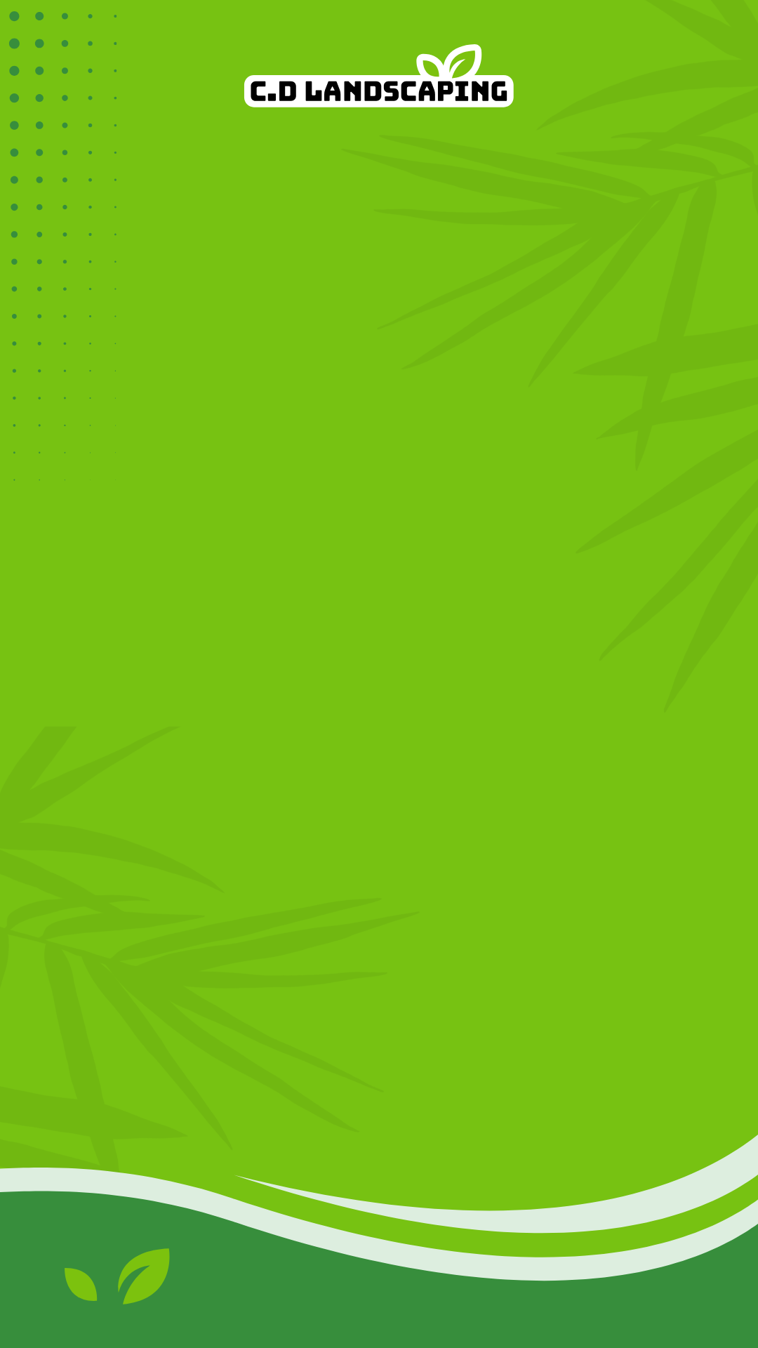 Social Media - Content - Reel Template