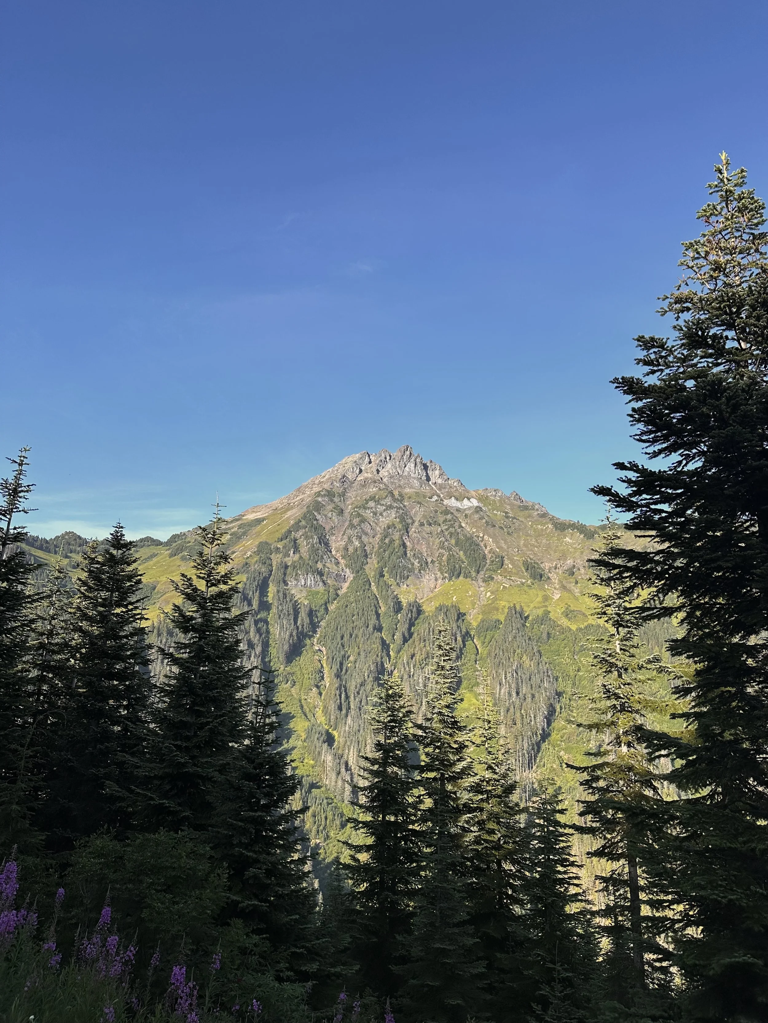 Design Elements - Reference Photo - Lady Peak, Chiliwack, B.C. - August 2023