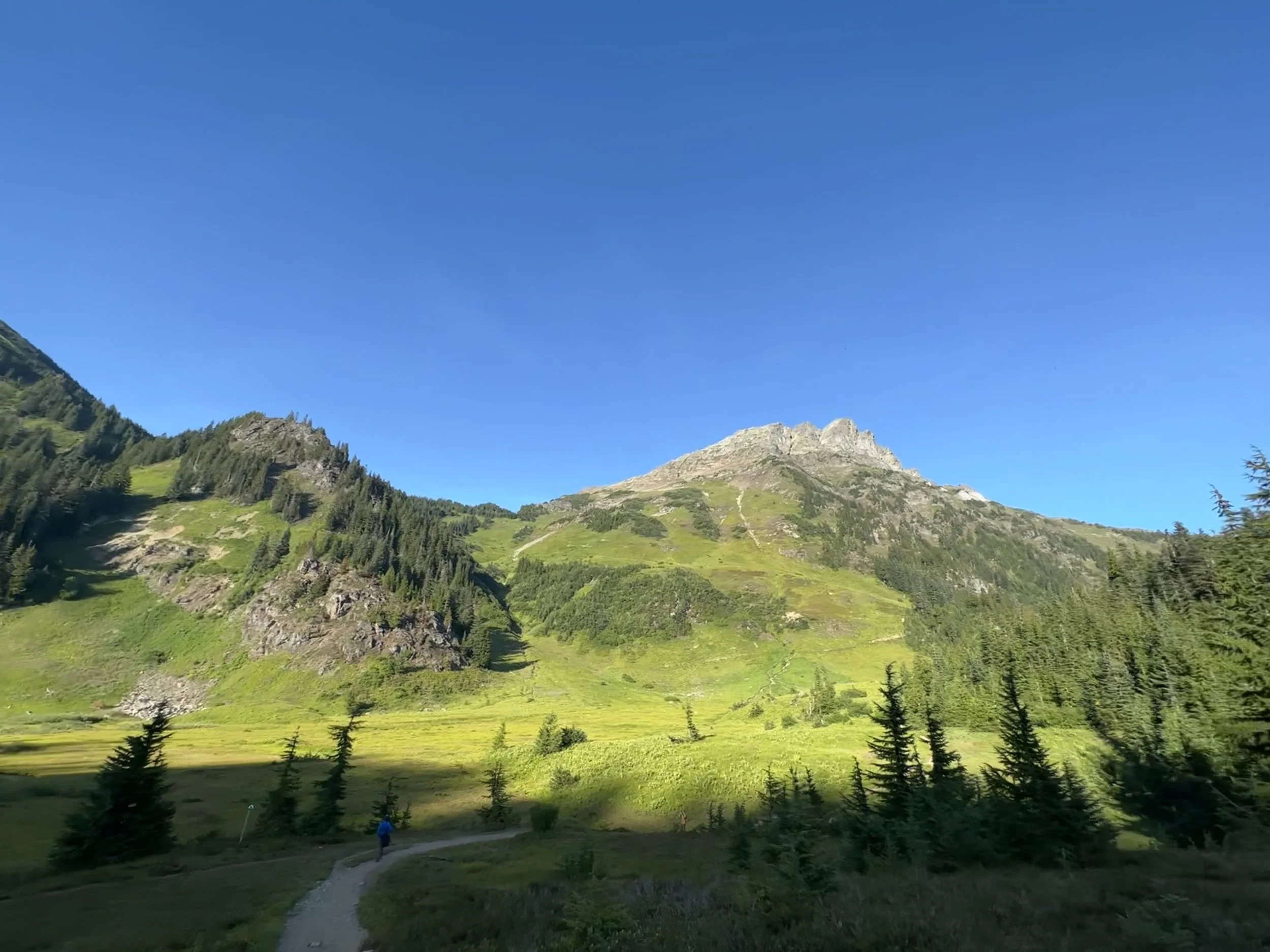 Design Elements - Reference Photo - Lady Peak, Chiliwack, B.C. - August 2023
