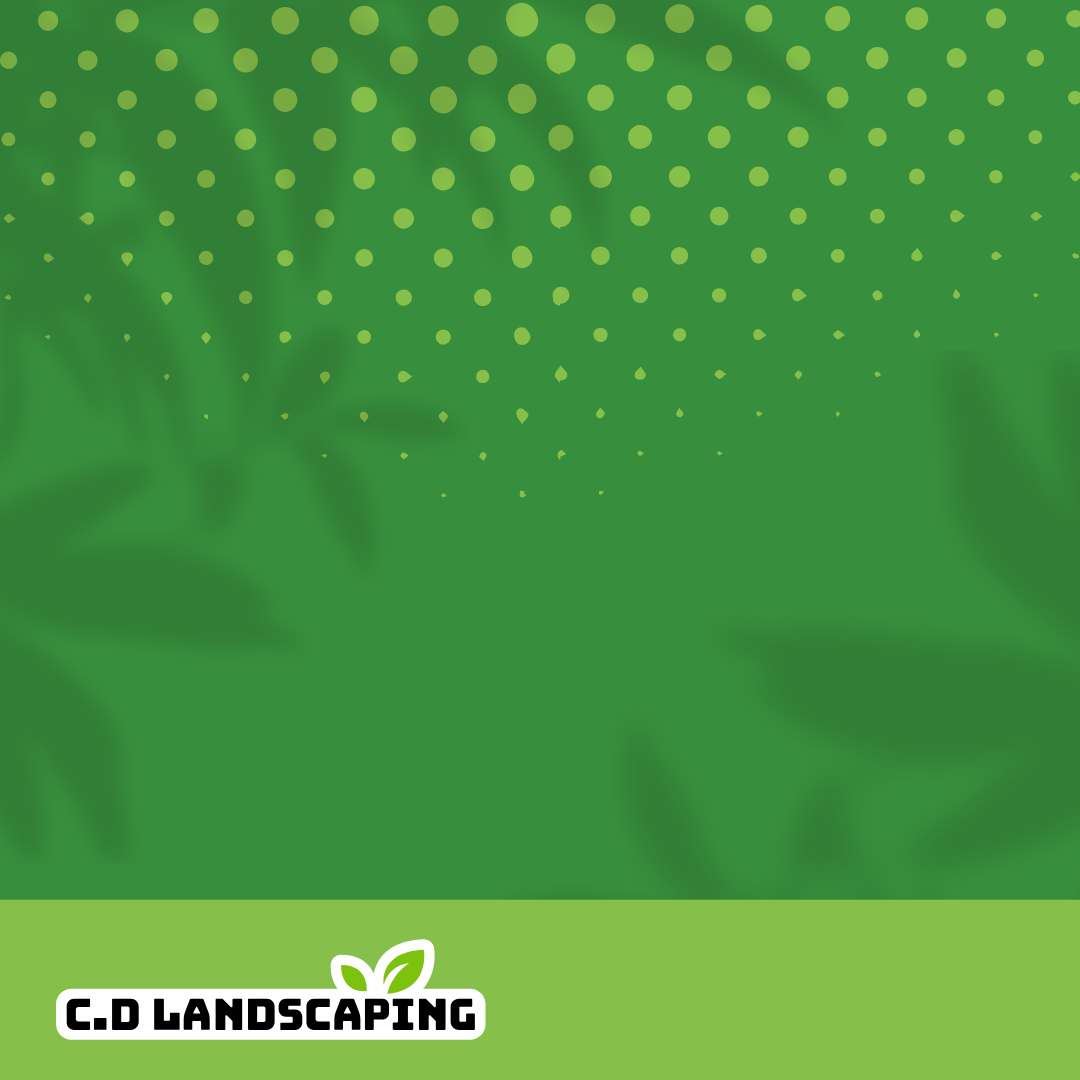 Social Media - Content - Template