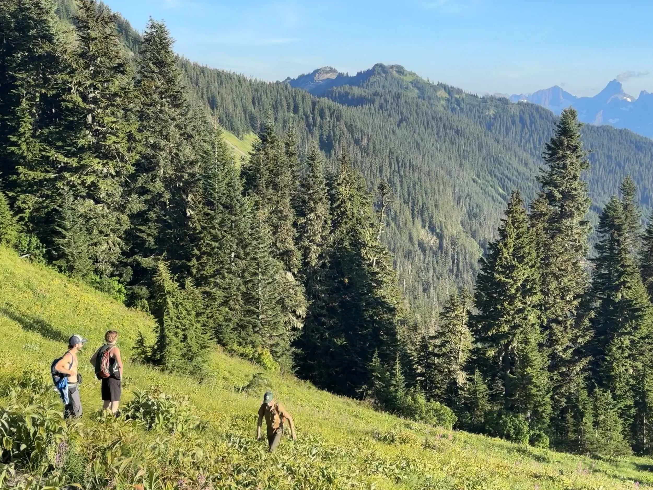 Design Elements - Reference Photo - Lady Peak, Chiliwack, B.C. - August 2023