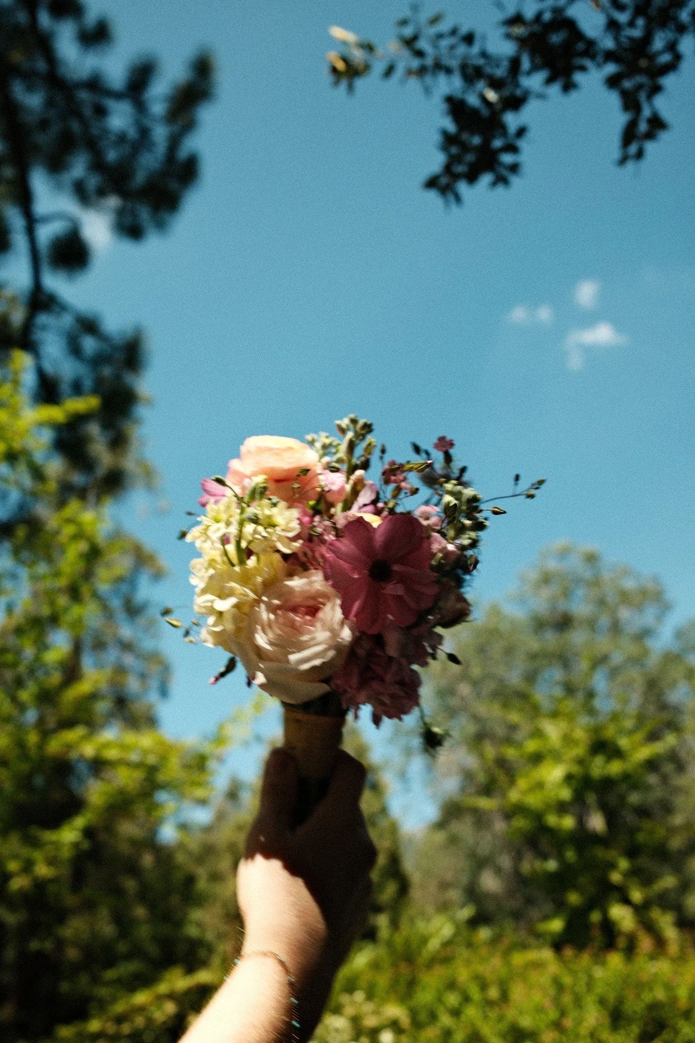 DSCF3916.jpg