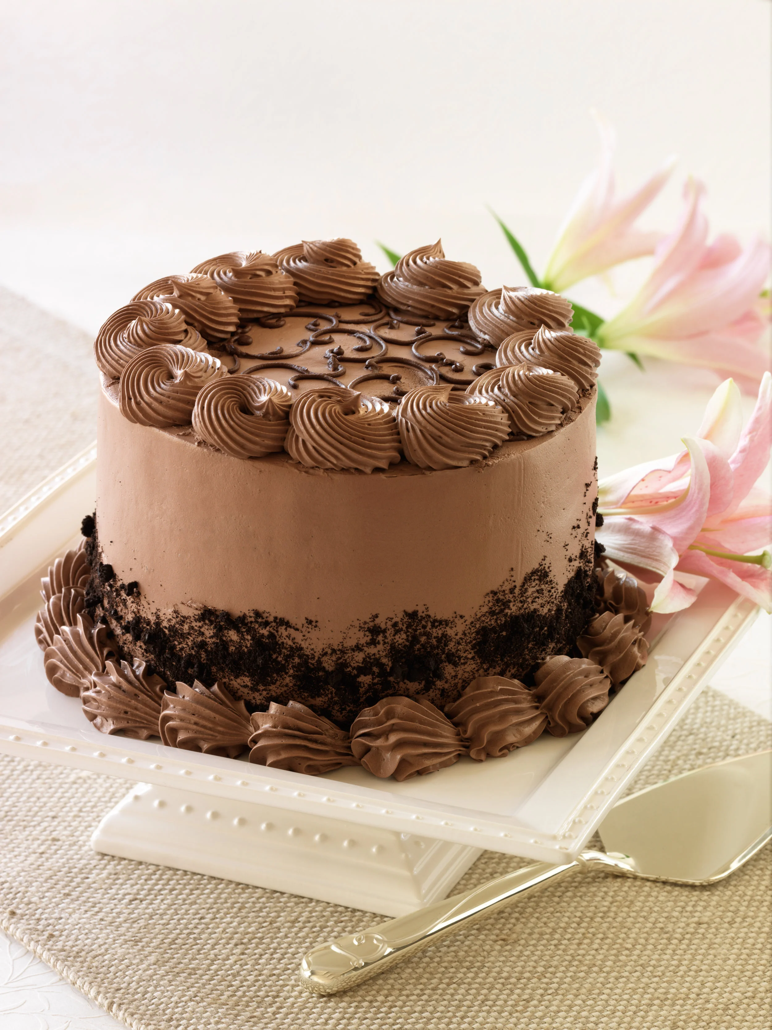 Chocolate_Cake_0106 copy.jpg